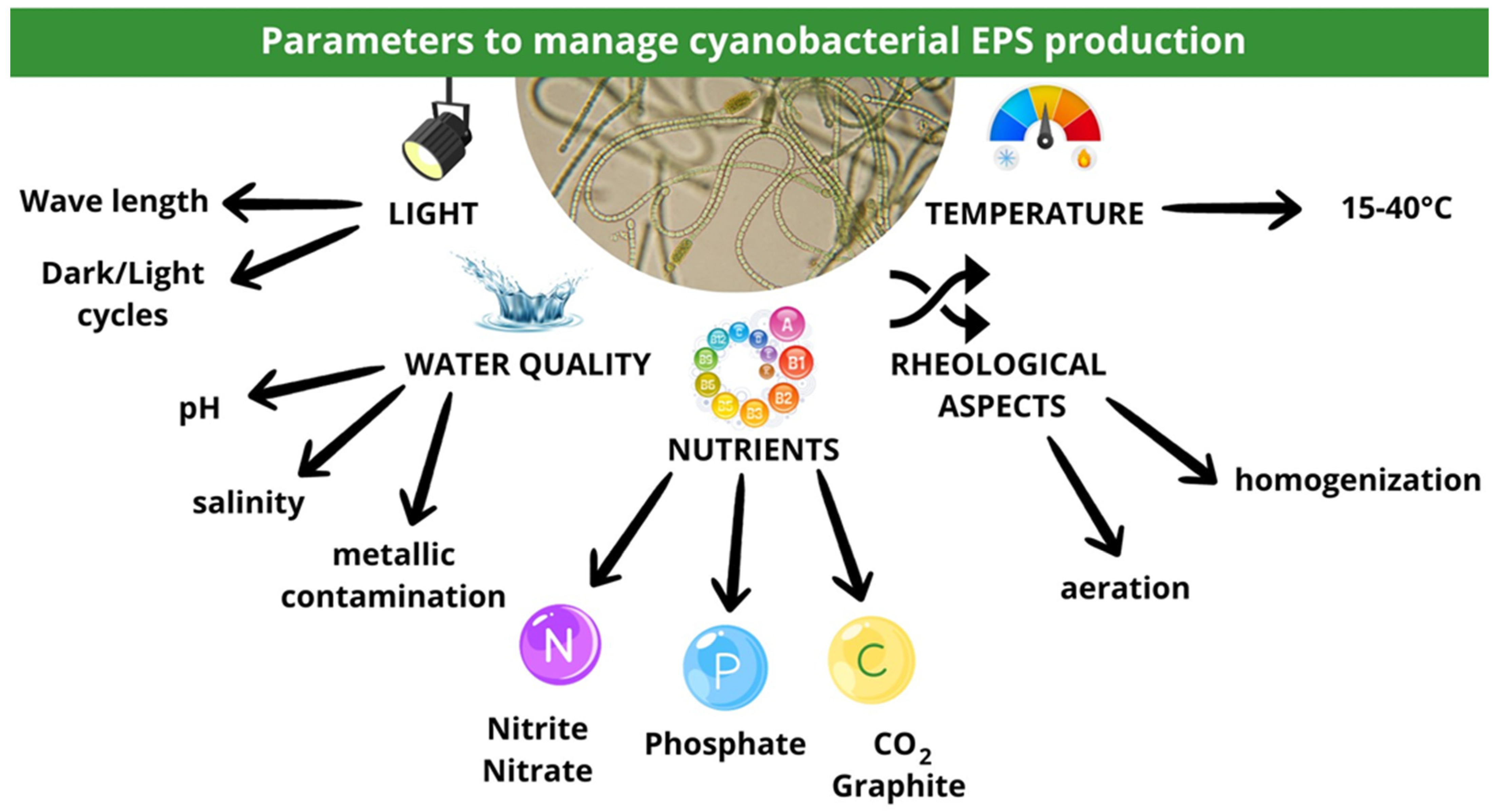 Applmicrobiol 04 00017 g006 Applmicrobiol 04 00017 g006