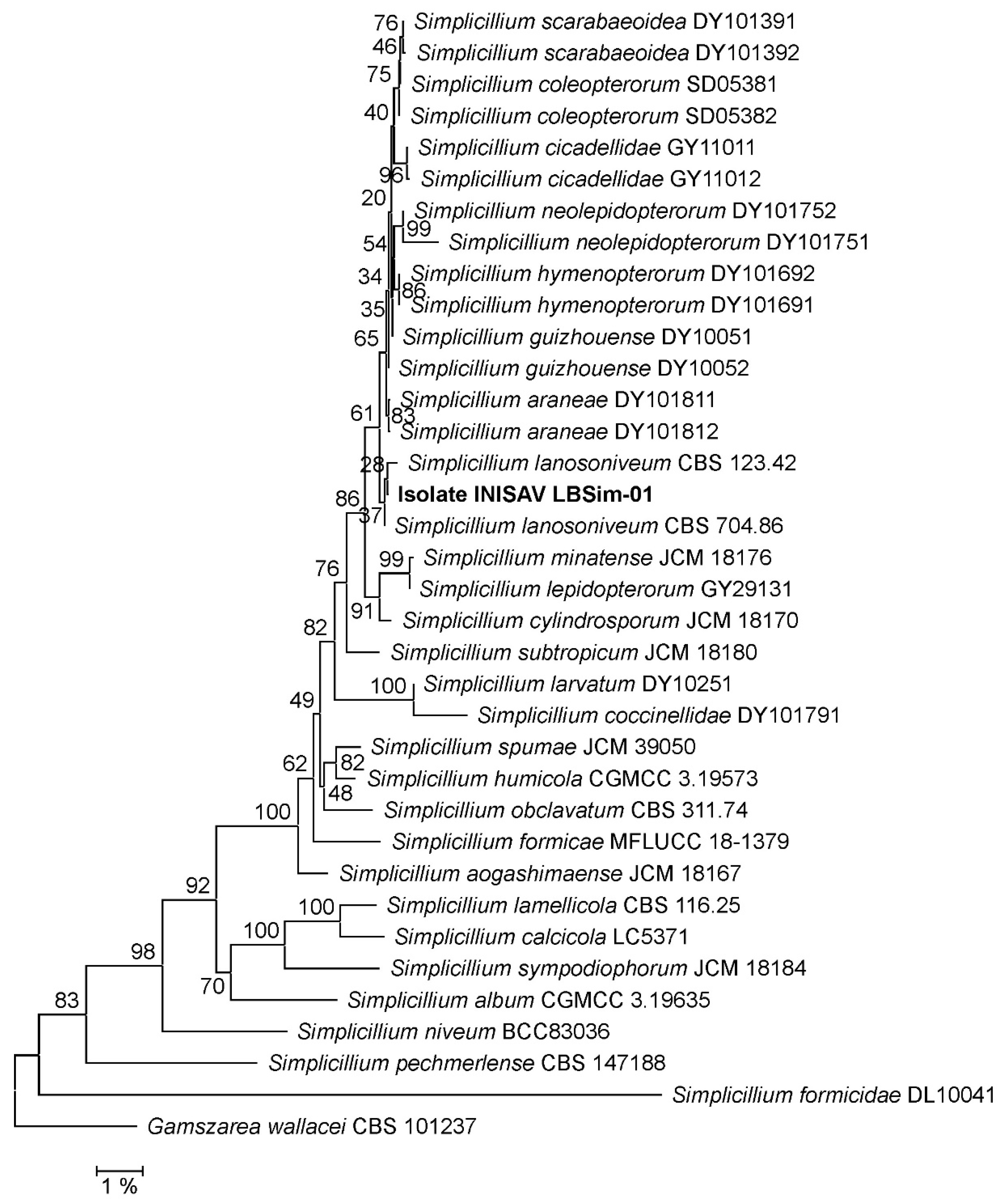 Applmicrobiol 04 00018 g002