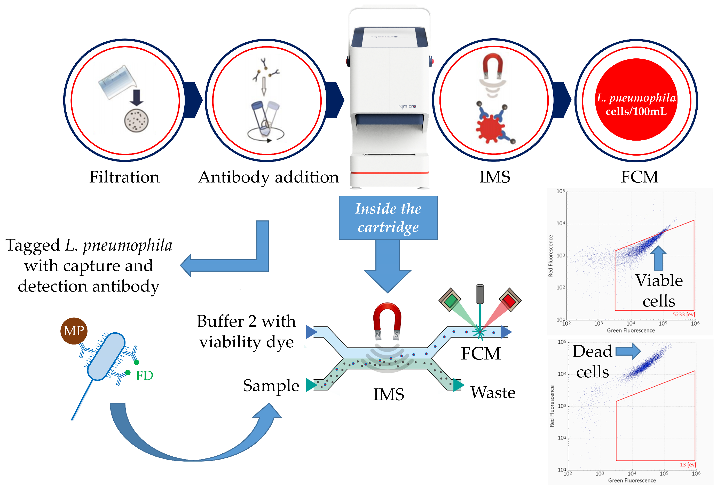 Applmicrobiol 04 00019 g001