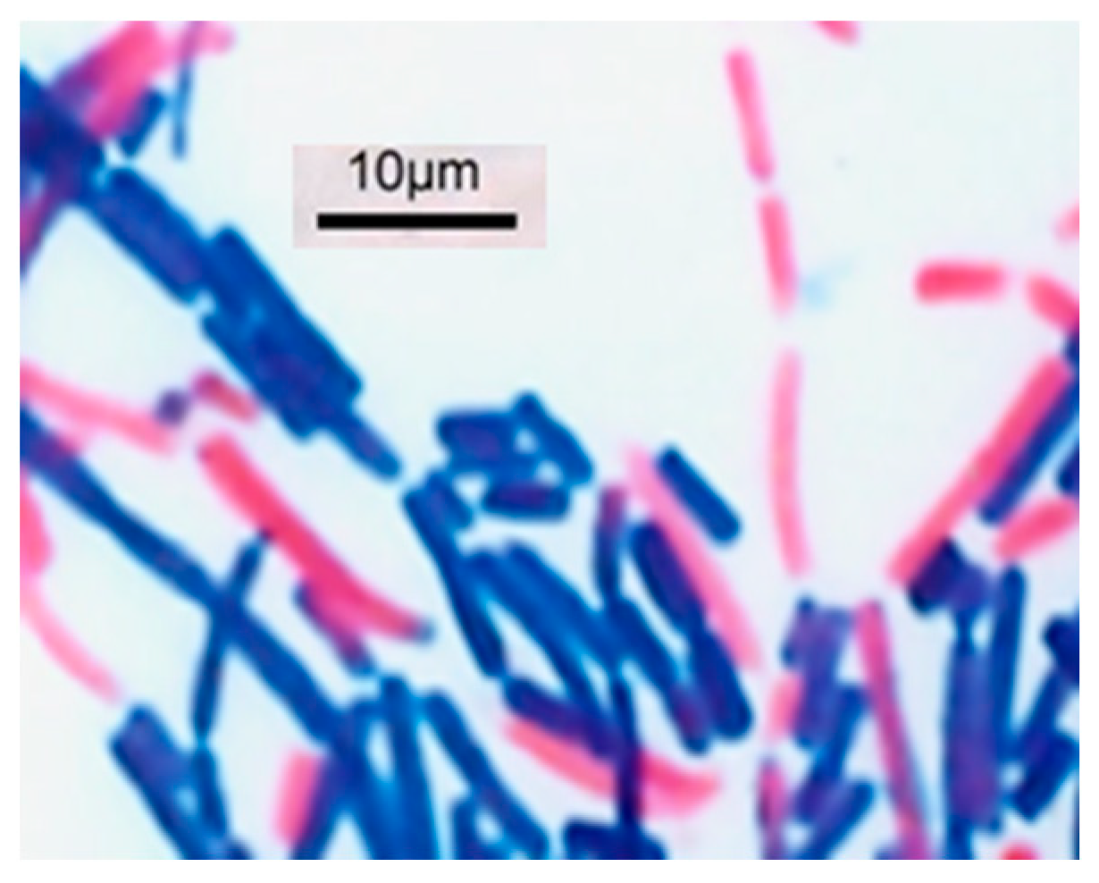 Applmicrobiol 04 00024 g002