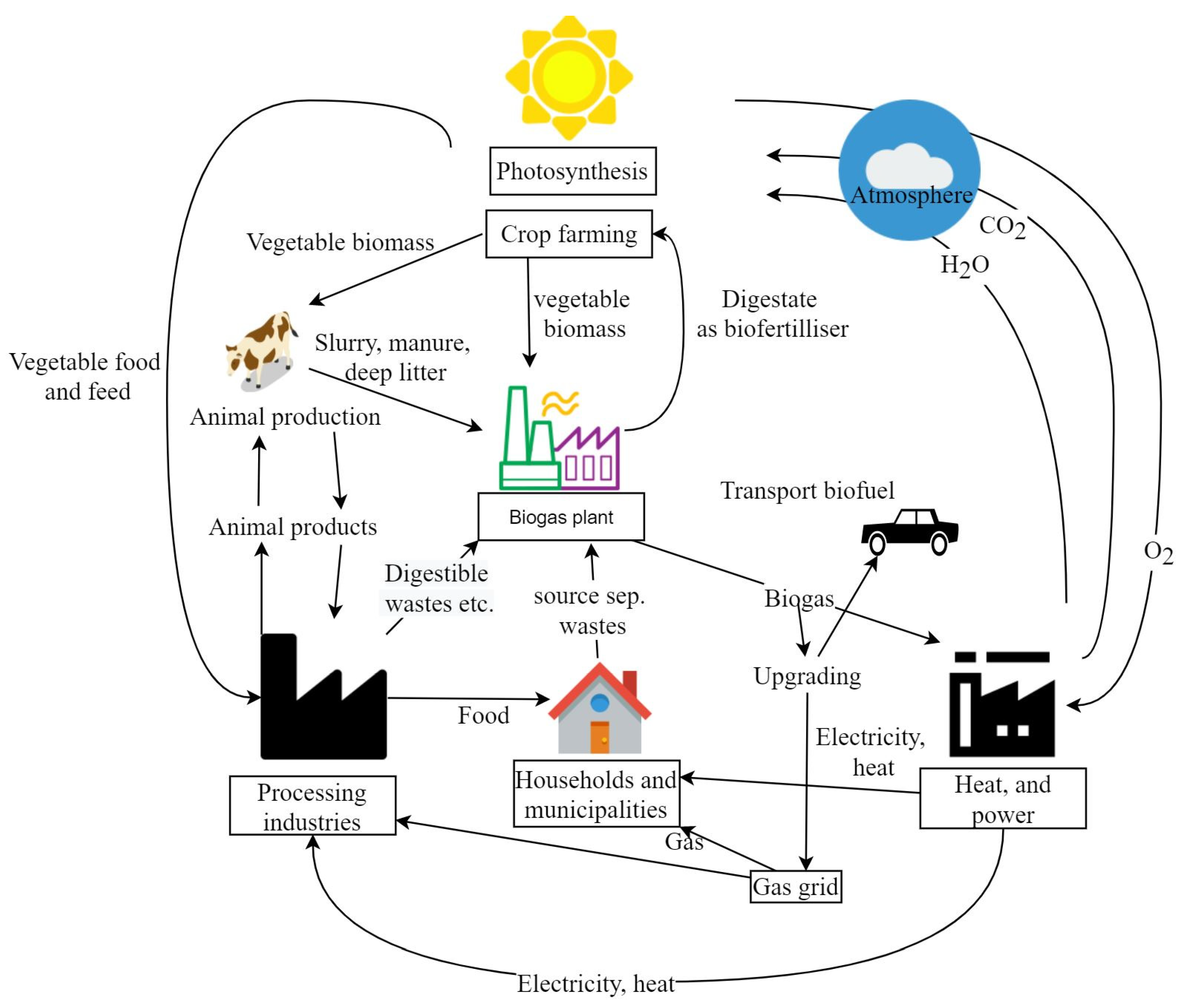 Applmicrobiol 04 00029 g001