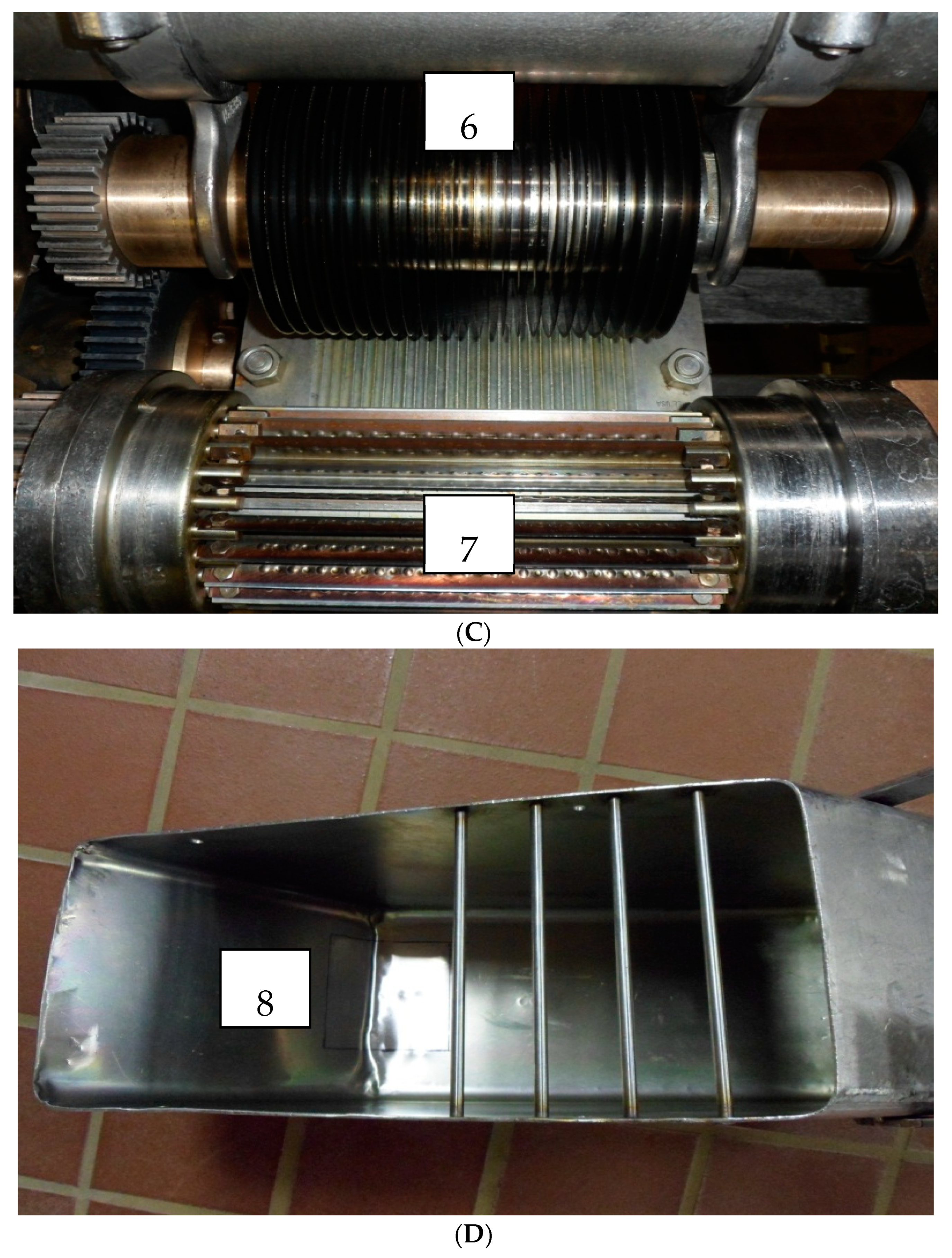 Applmicrobiol 04 00030 g001b