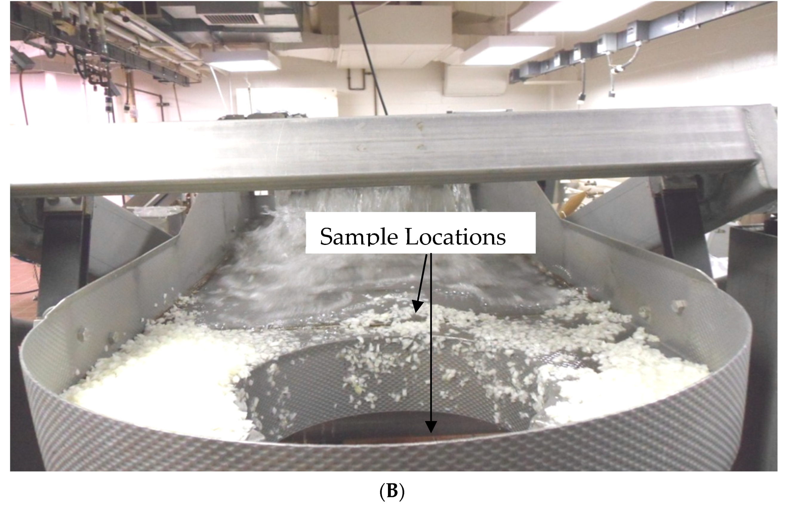 Applmicrobiol 04 00030 g002b