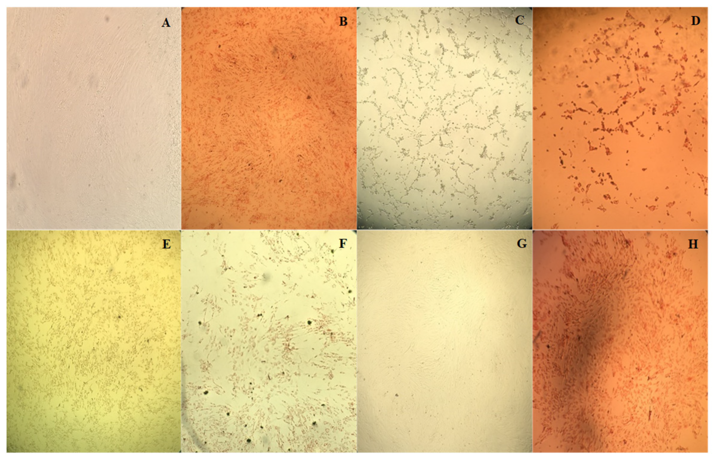 Applmicrobiol 04 00034 g001