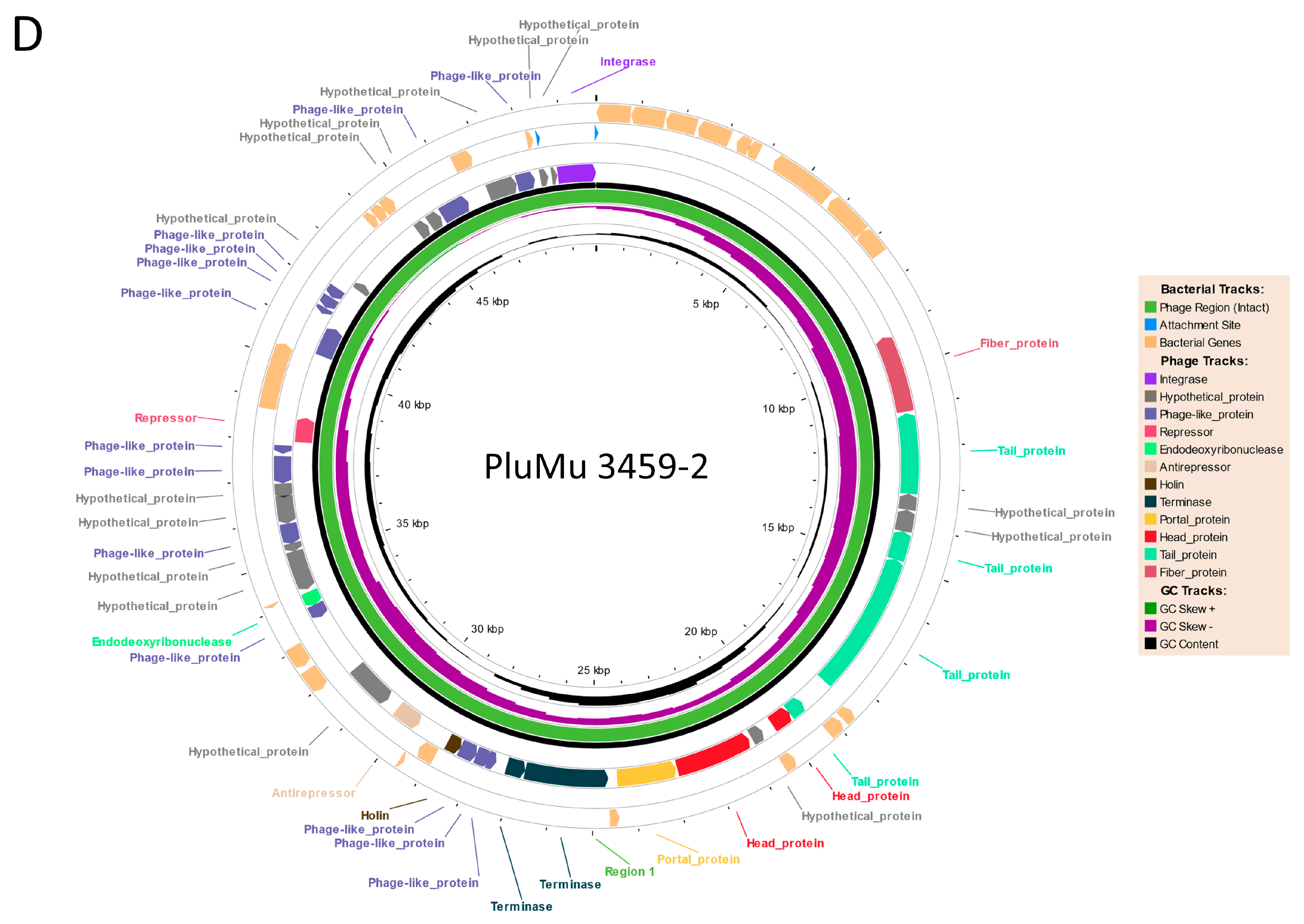 Applmicrobiol 04 00037 g002d Applmicrobiol 04 00037 g002d