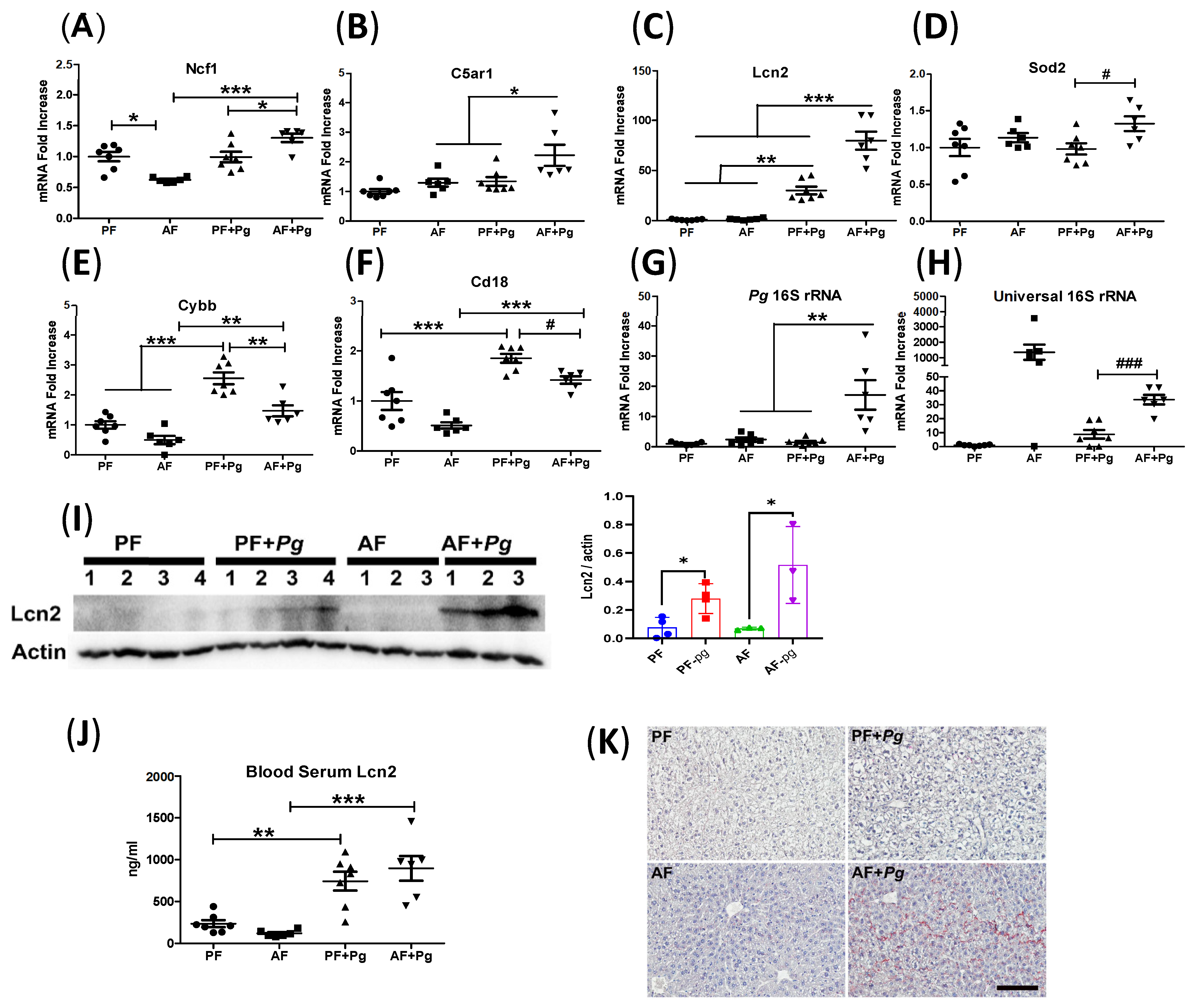 Applmicrobiol 04 00043 g003