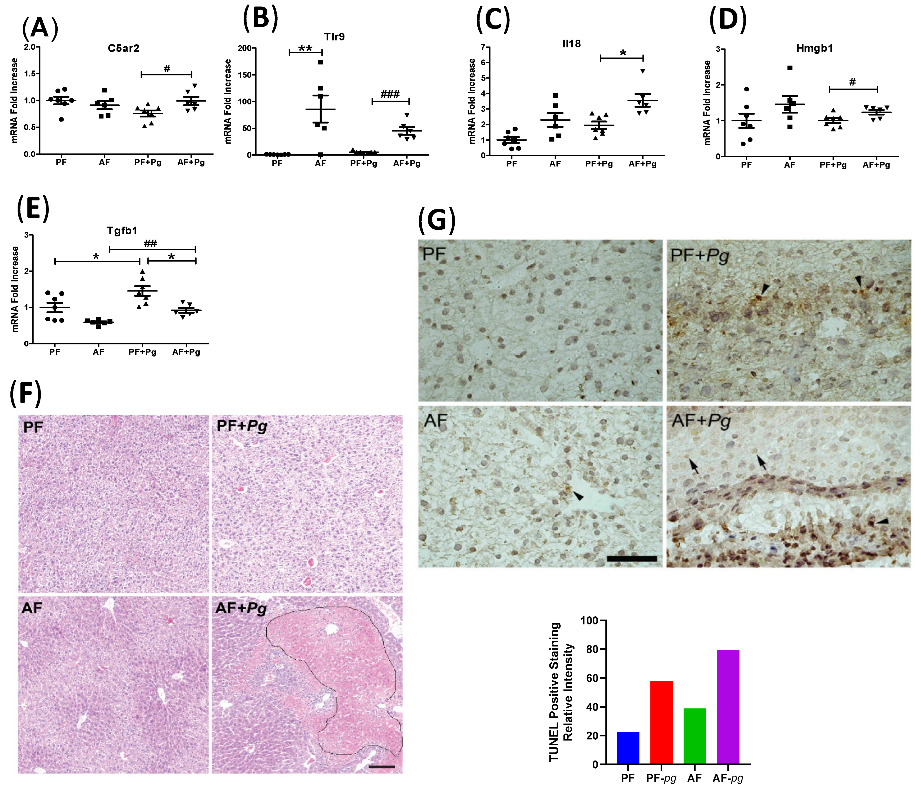 Applmicrobiol 04 00043 g004