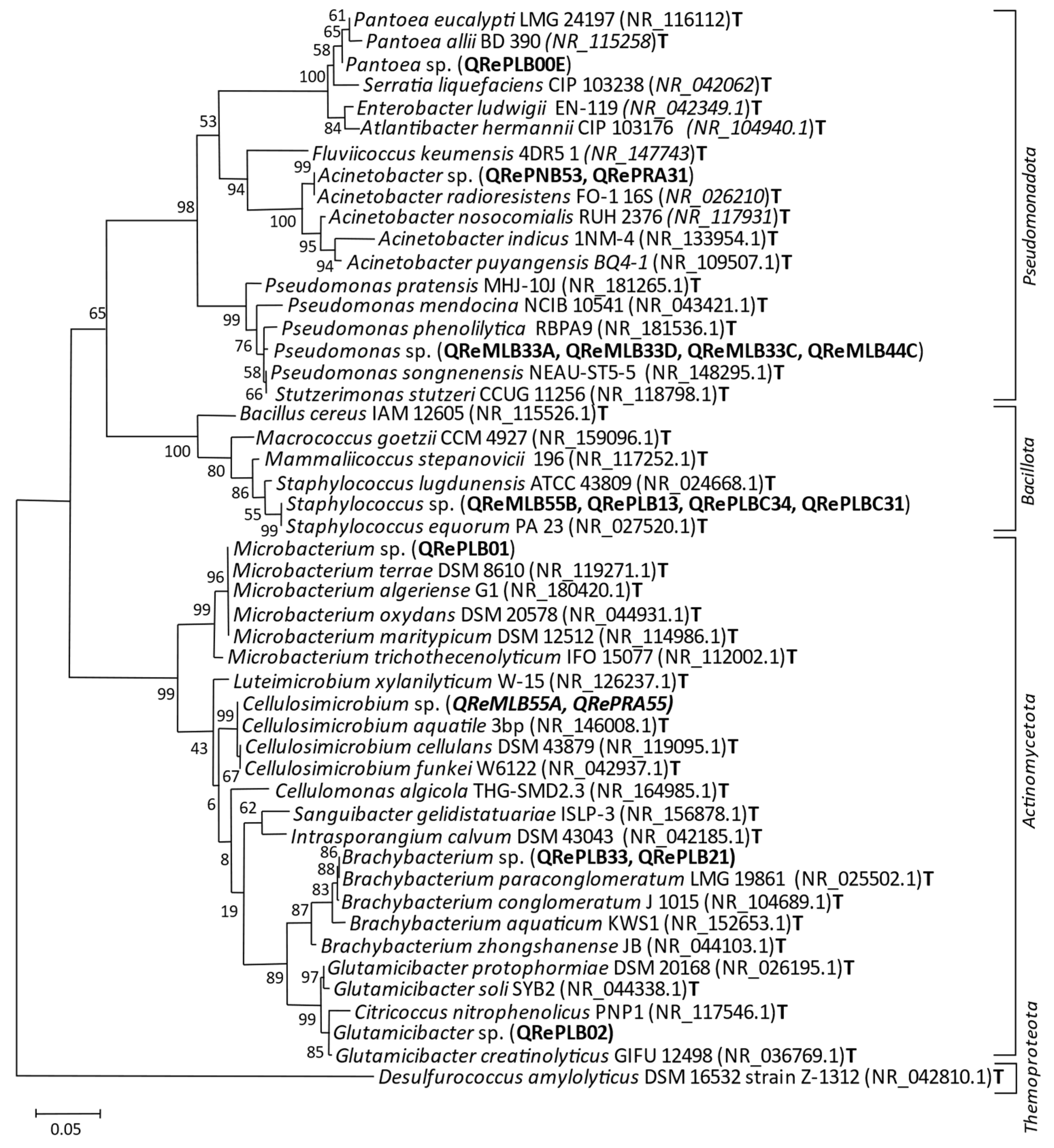 Applmicrobiol 04 00046 g003