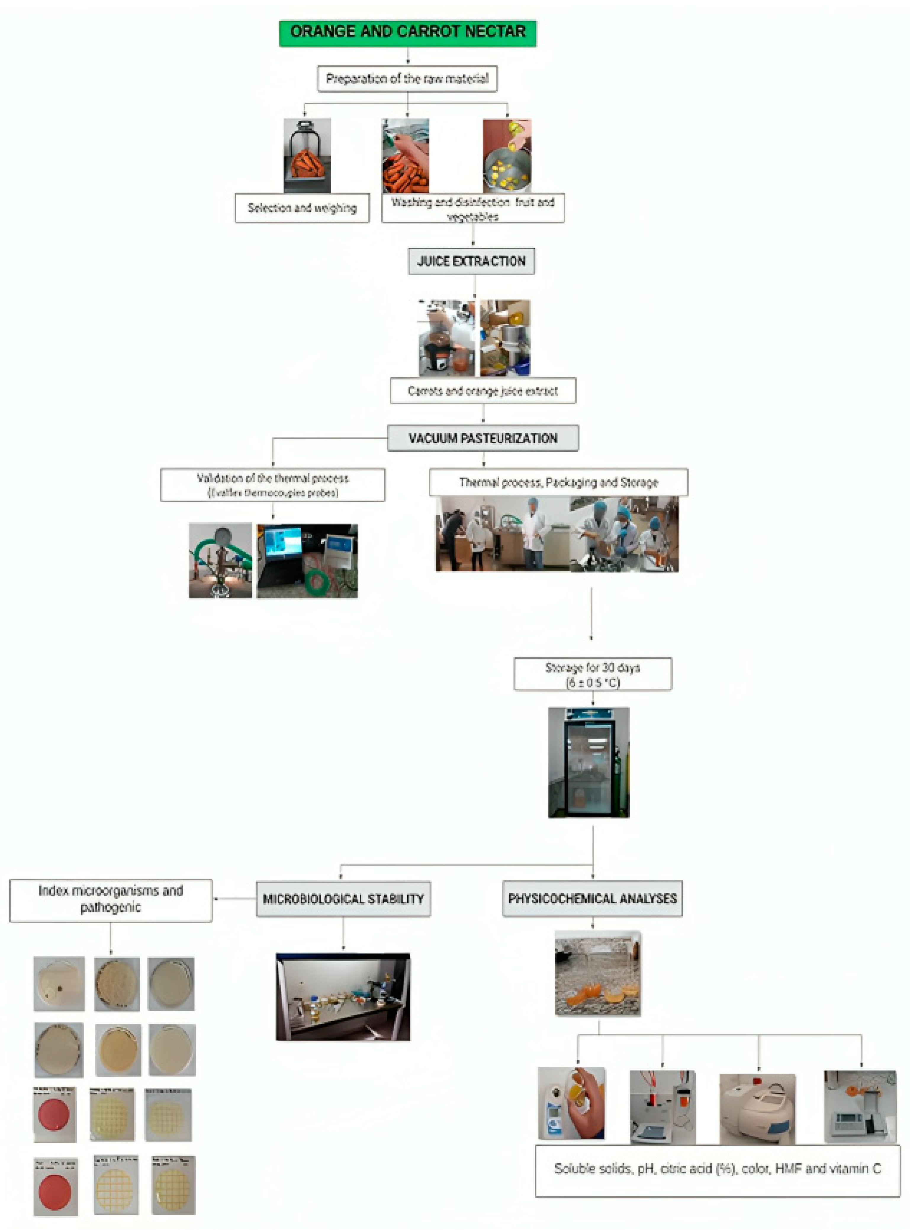 Applmicrobiol 04 00050 g001