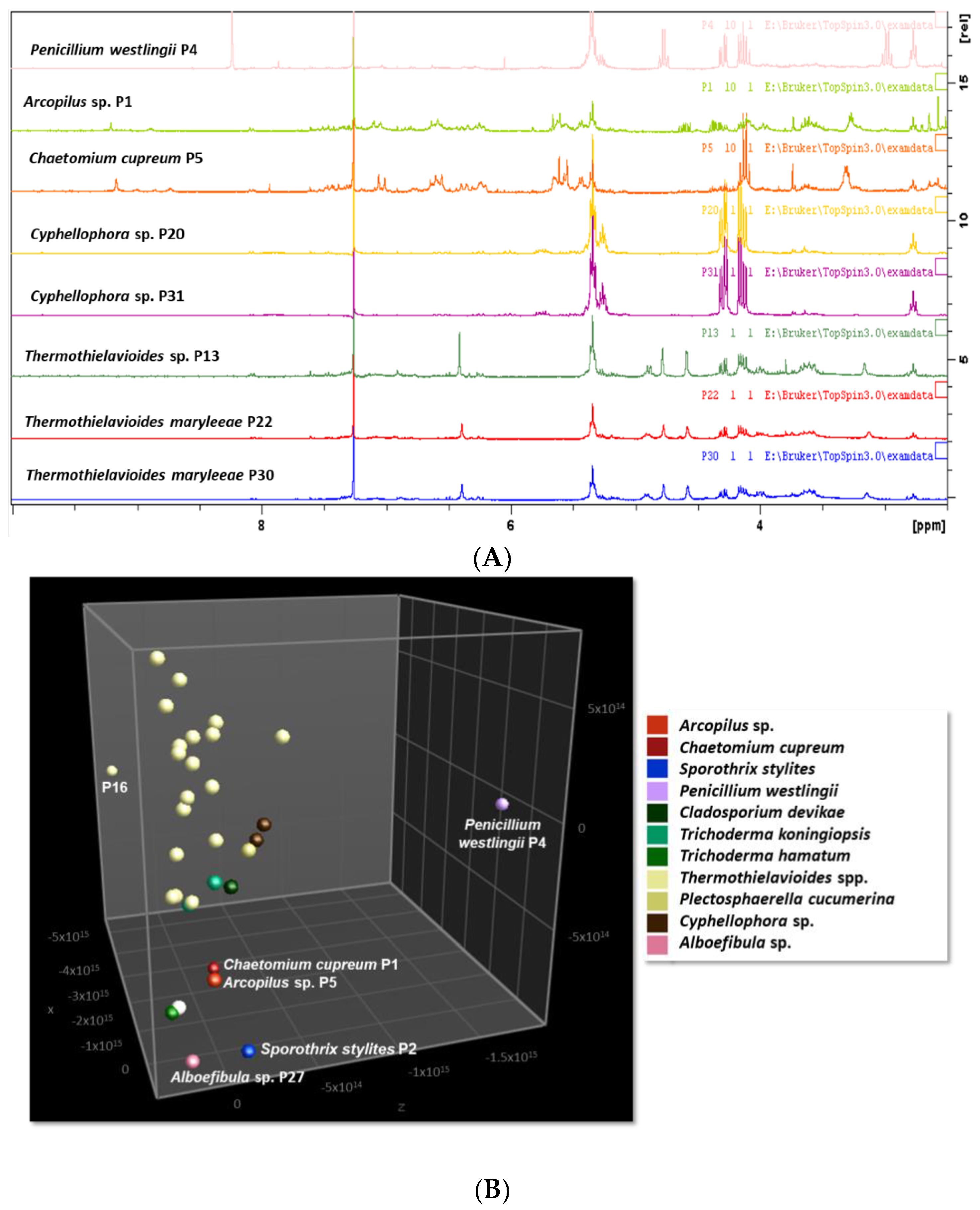 Applmicrobiol 04 00052 g003