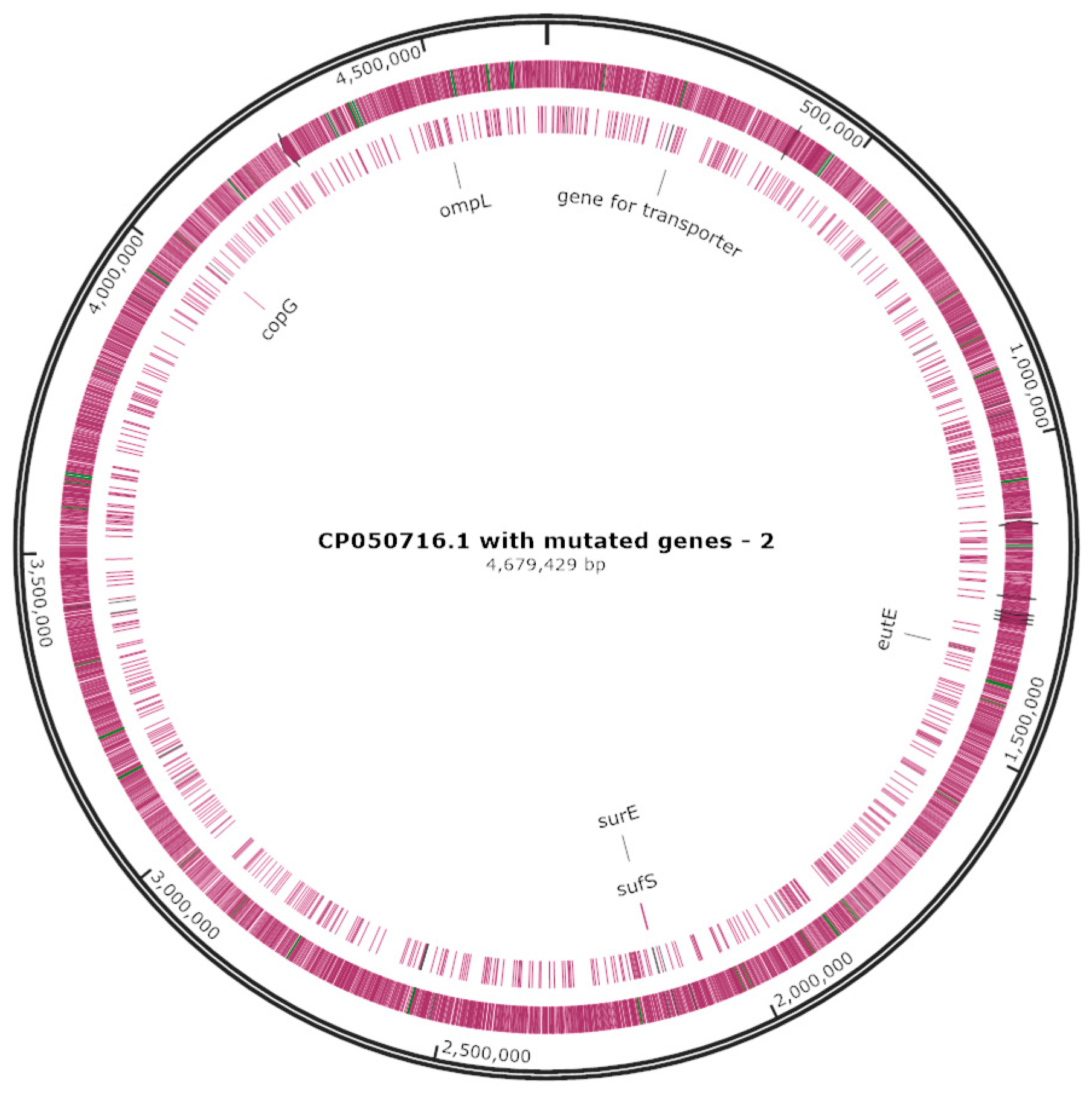 Applmicrobiol 04 00053 g003 Applmicrobiol 04 00053 g003