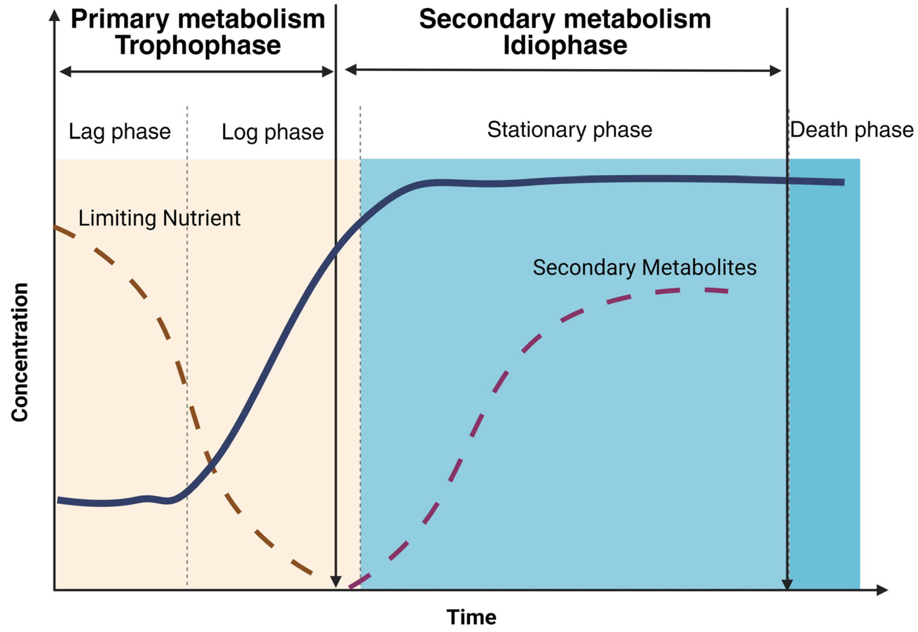 Applmicrobiol 04 00055 g004