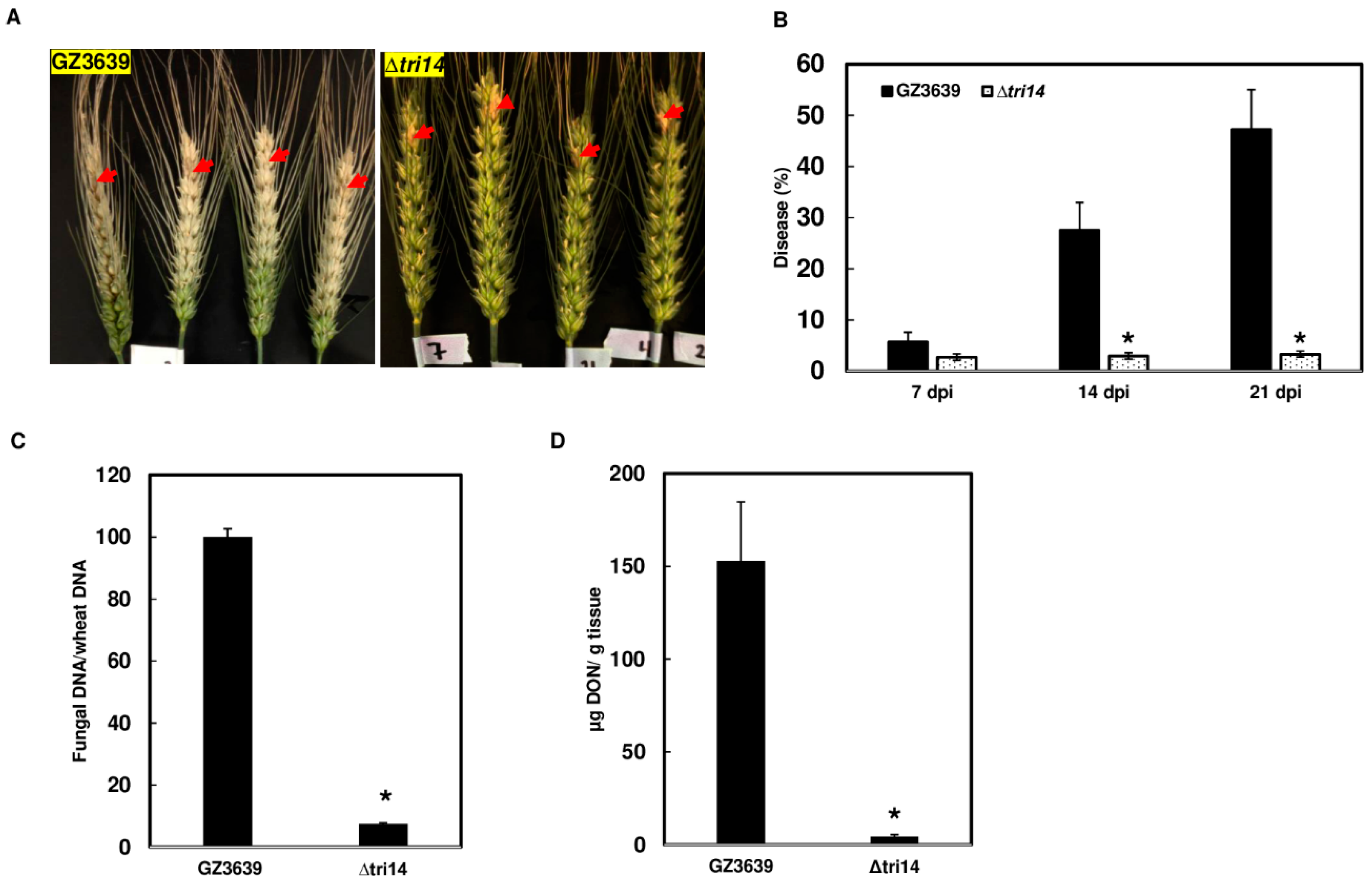 Applmicrobiol 04 00058 g004