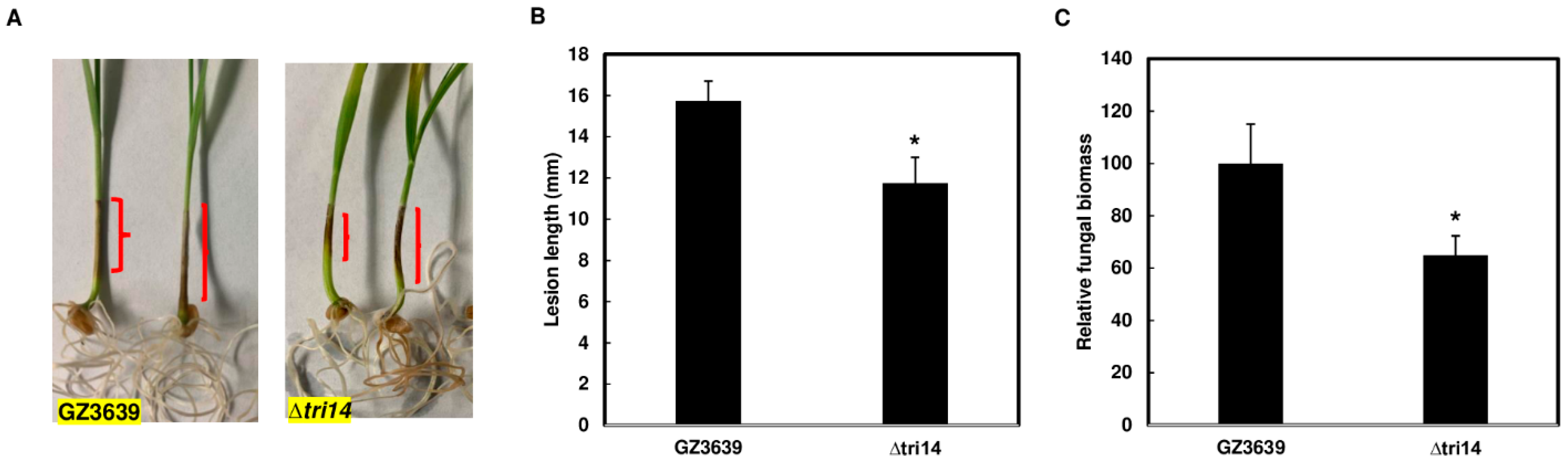 Applmicrobiol 04 00058 g007
