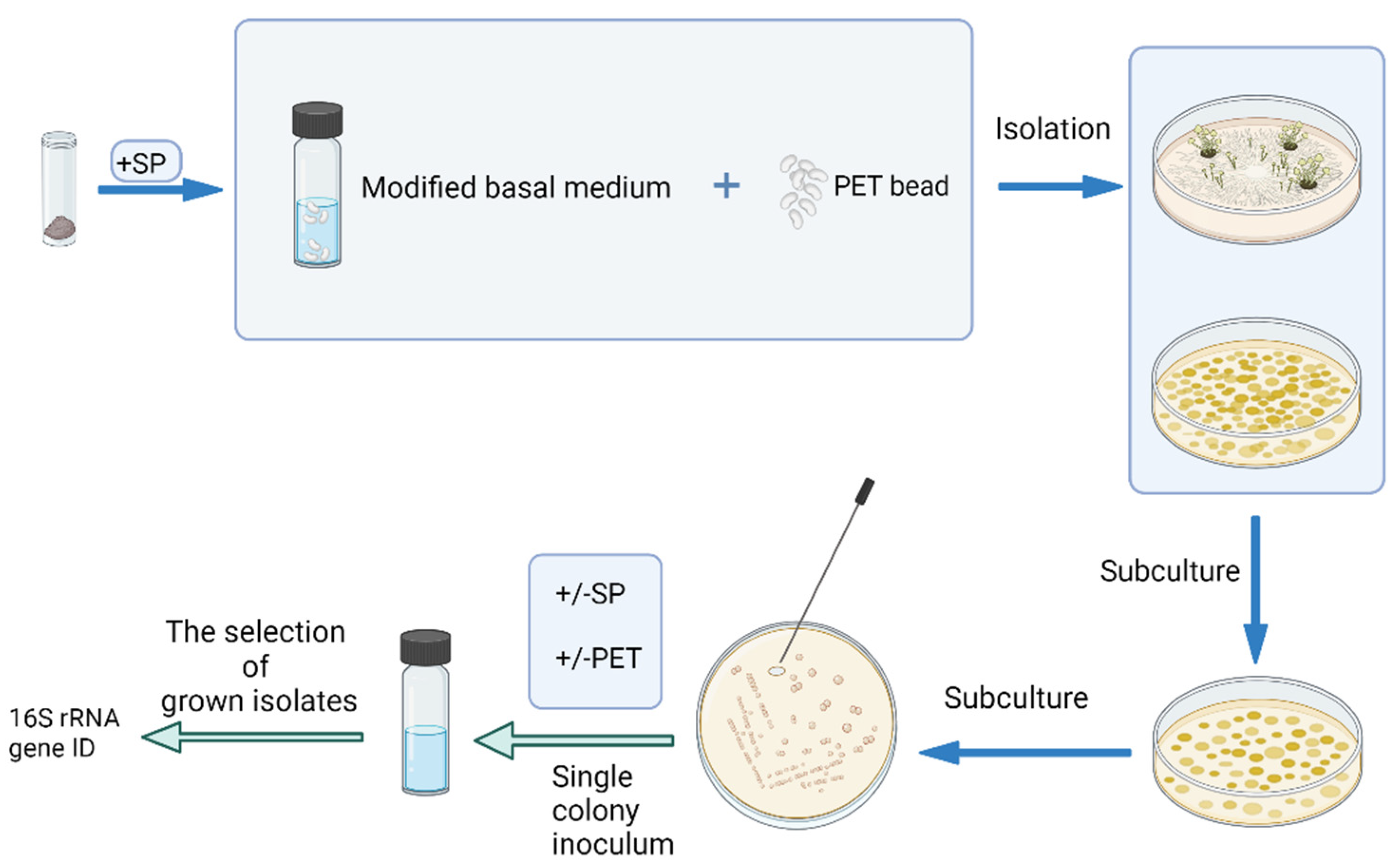 Applmicrobiol 04 00059 g001 Applmicrobiol 04 00059 g001