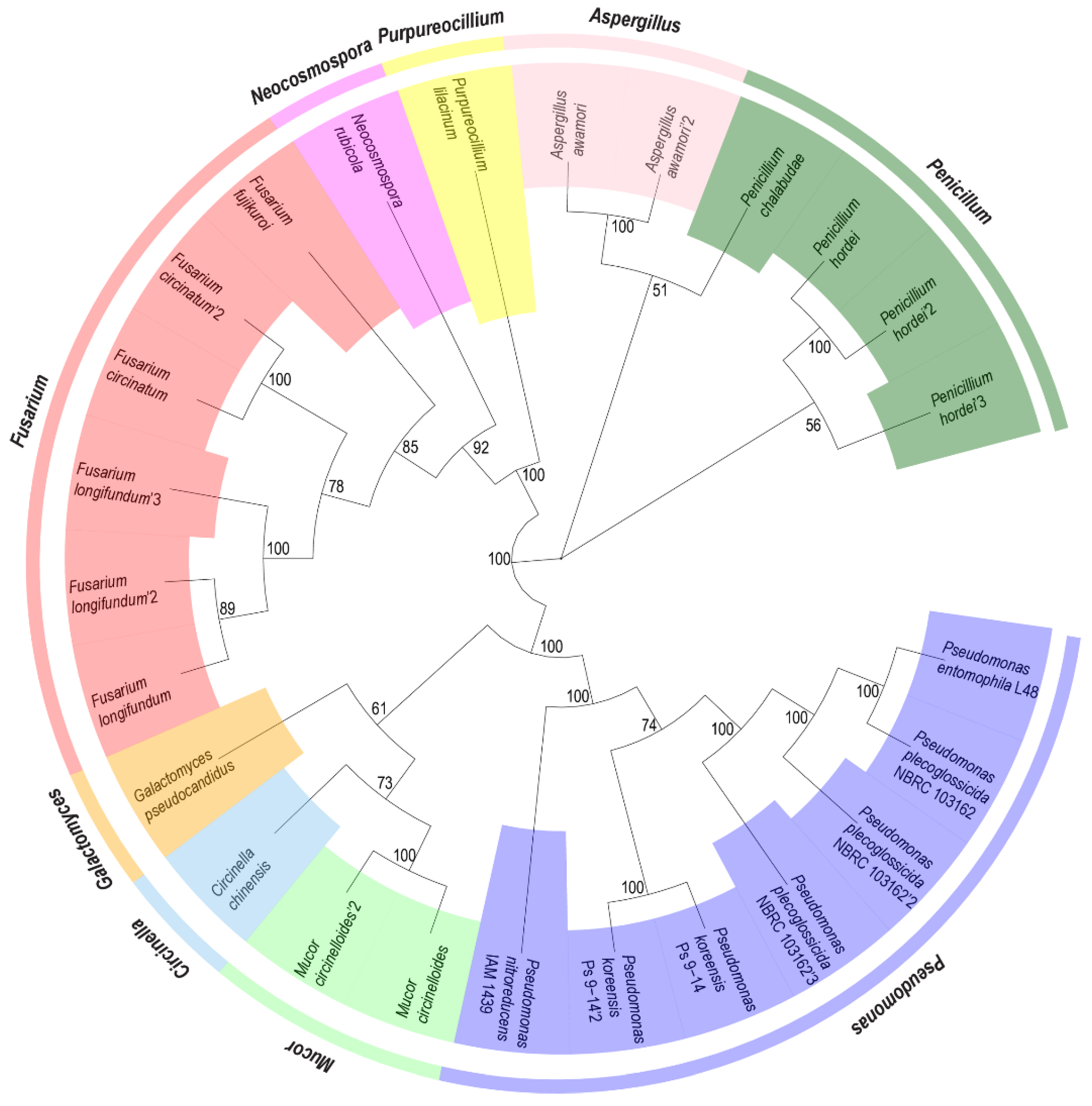 Applmicrobiol 04 00071 g001