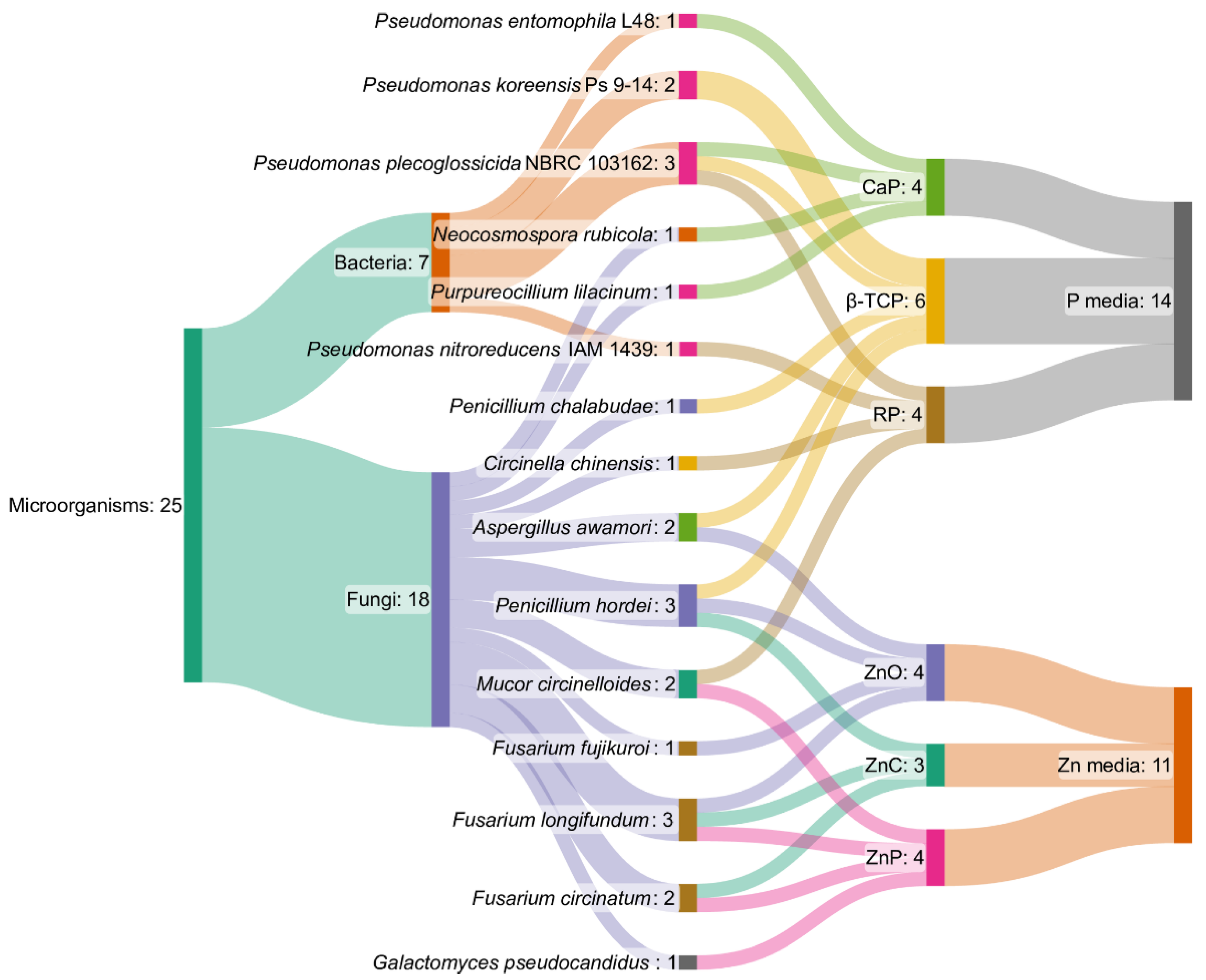 Applmicrobiol 04 00071 g003