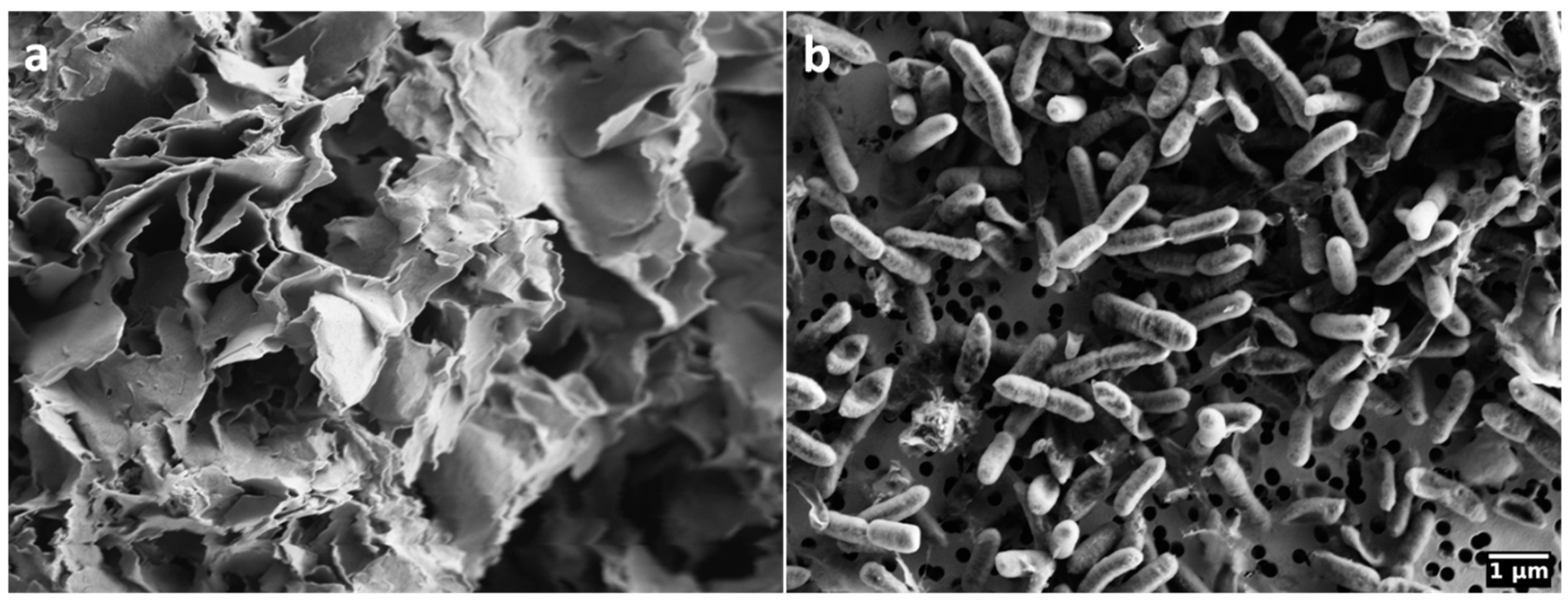 Applmicrobiol 04 00074 g001