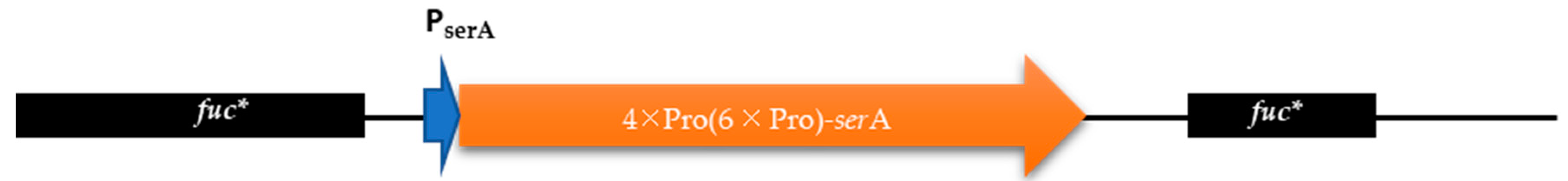 Applmicrobiol 04 00092 g002