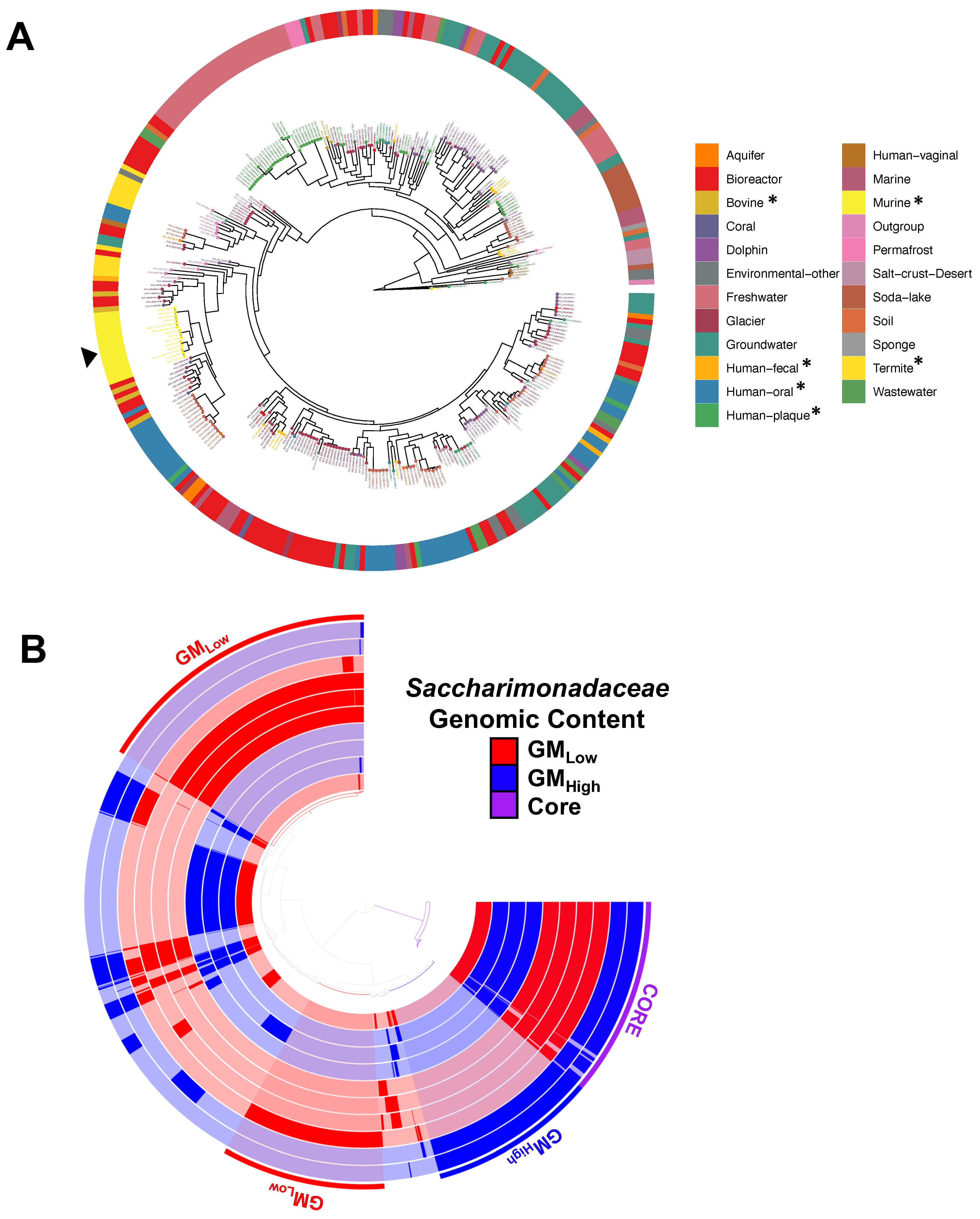 Applmicrobiol 04 00109 g002