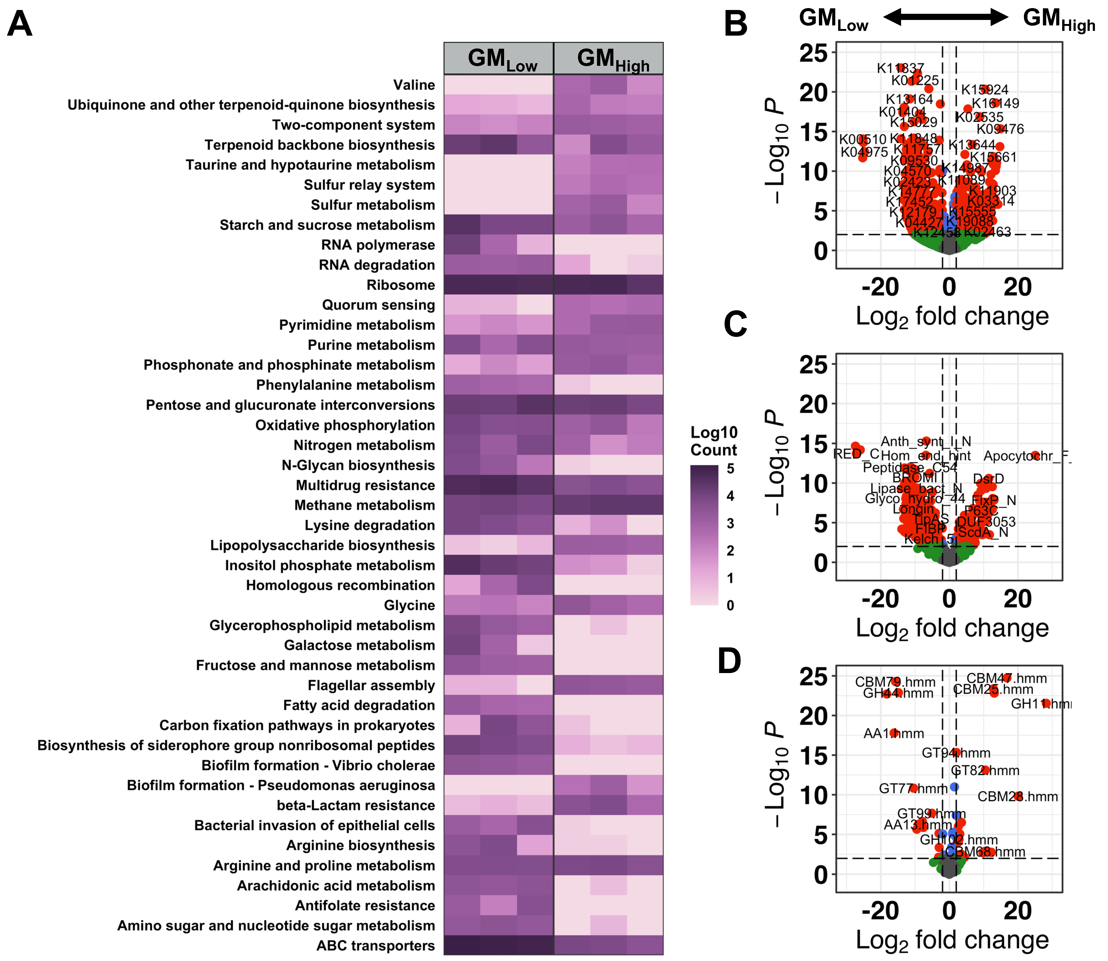 Applmicrobiol 04 00109 g004