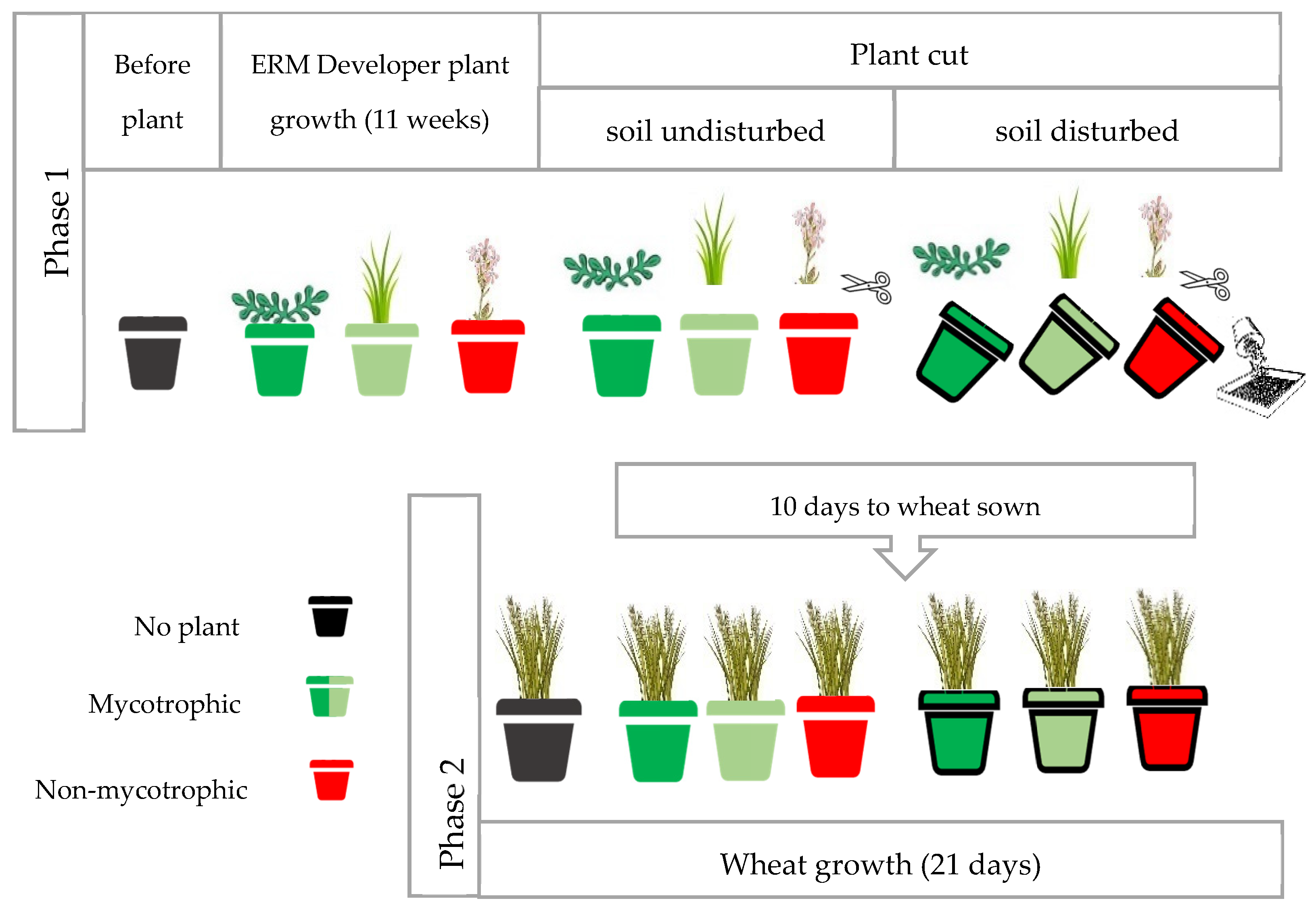Applmicrobiol 04 00113 g001 Applmicrobiol 04 00113 g001