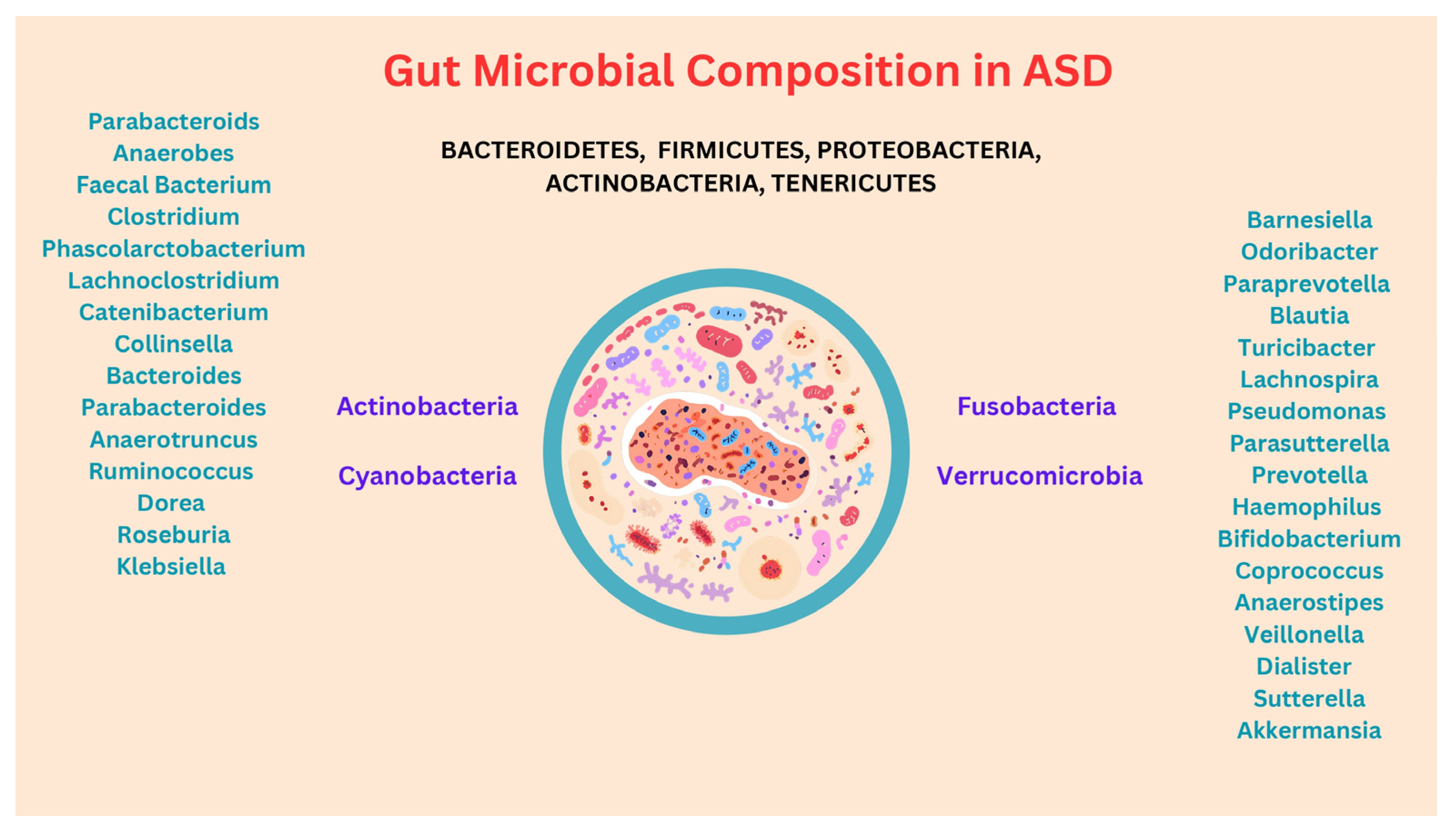 Applmicrobiol 04 00114 g003