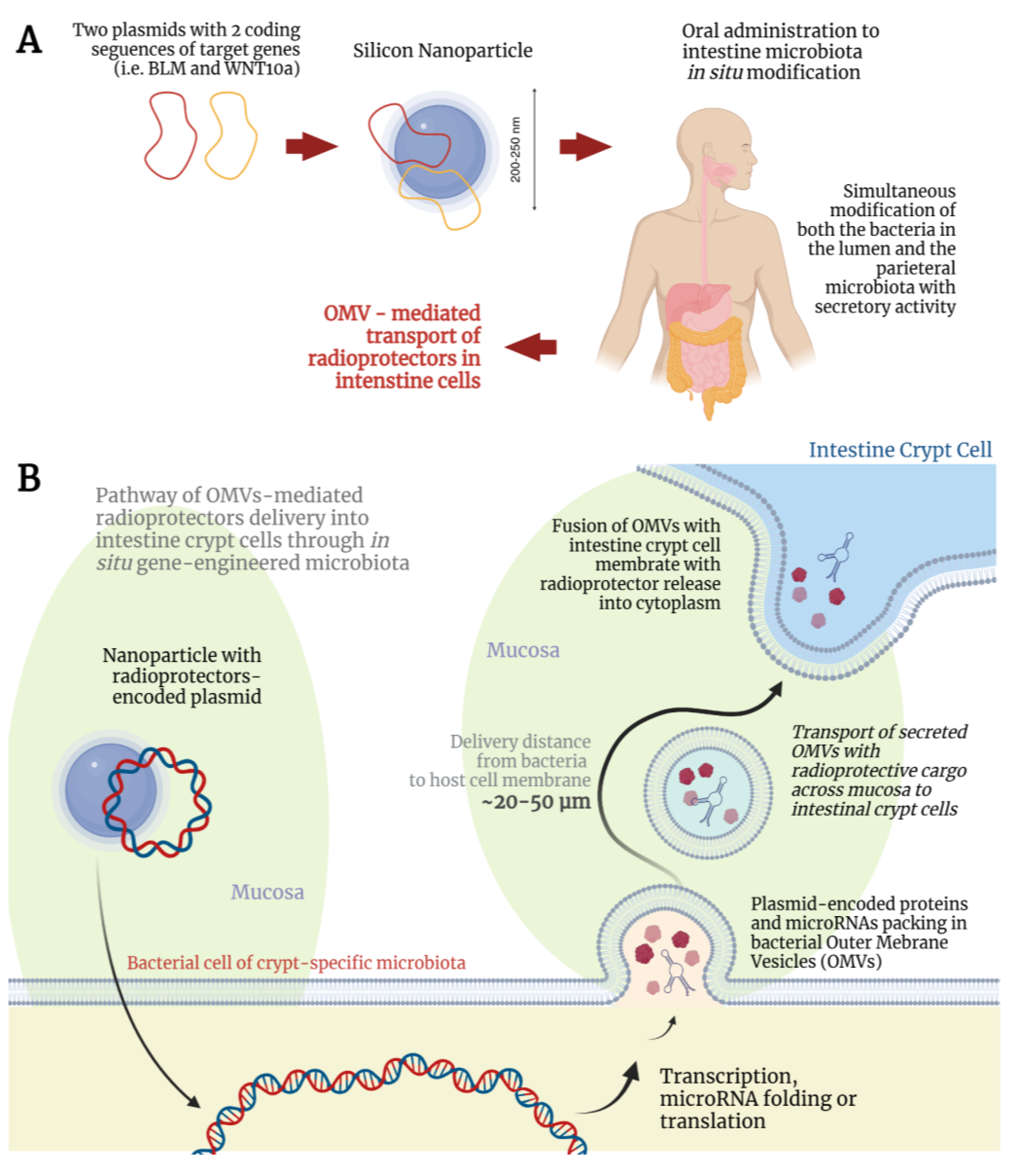 Applmicrobiol 05 00001 g002