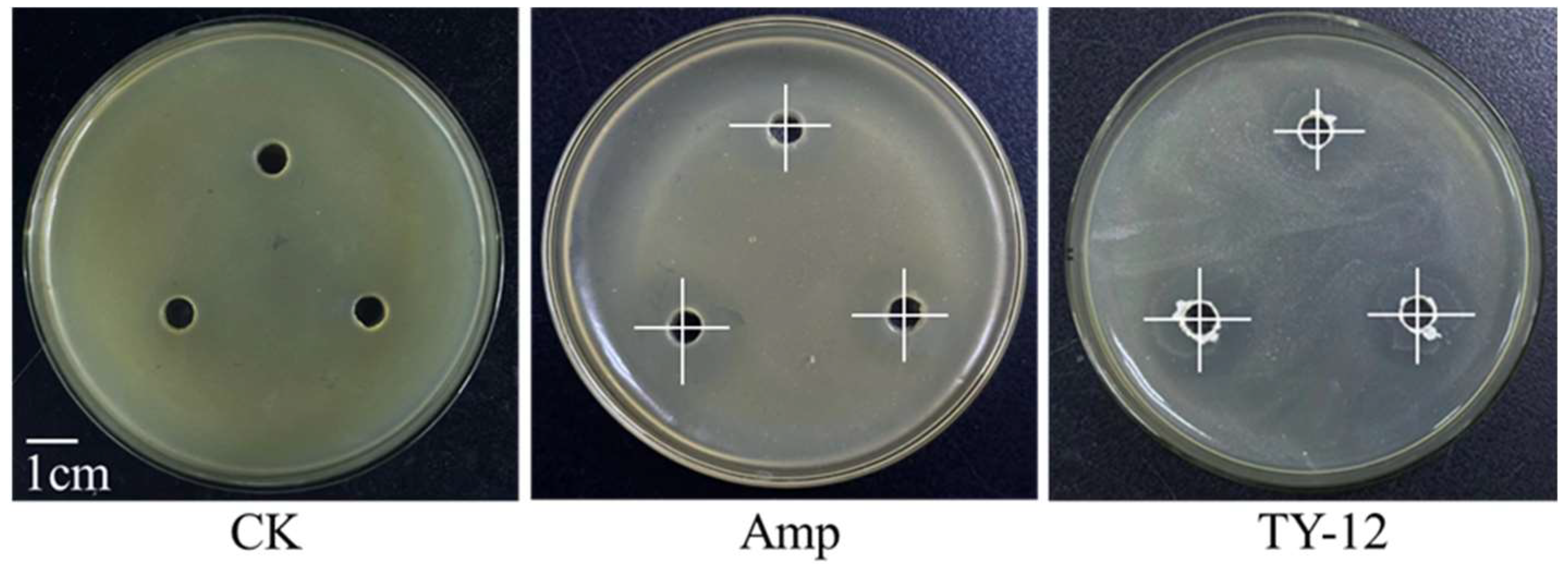 Applmicrobiol 05 00002 g001
