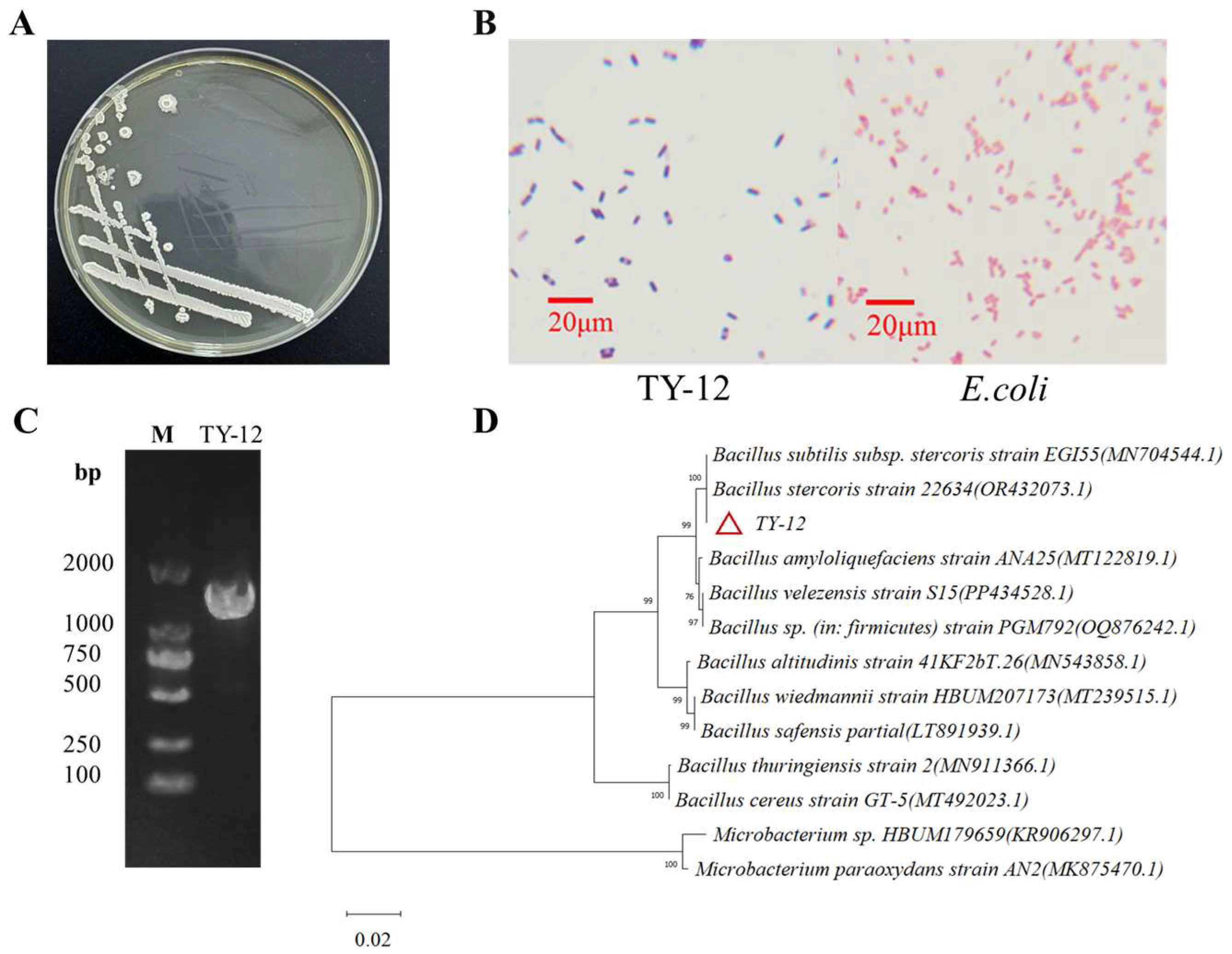 Applmicrobiol 05 00002 g002
