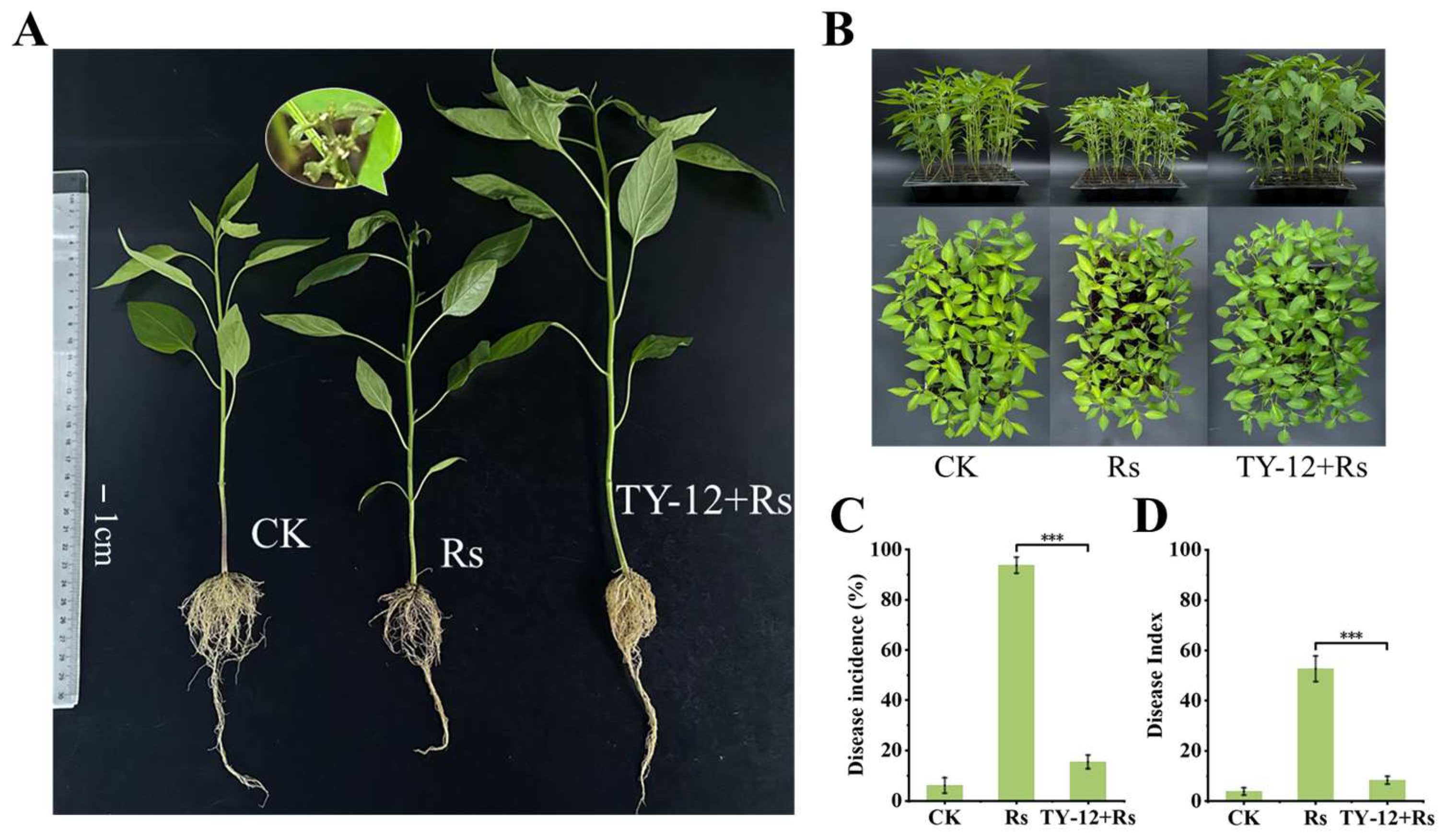 Applmicrobiol 05 00002 g006
