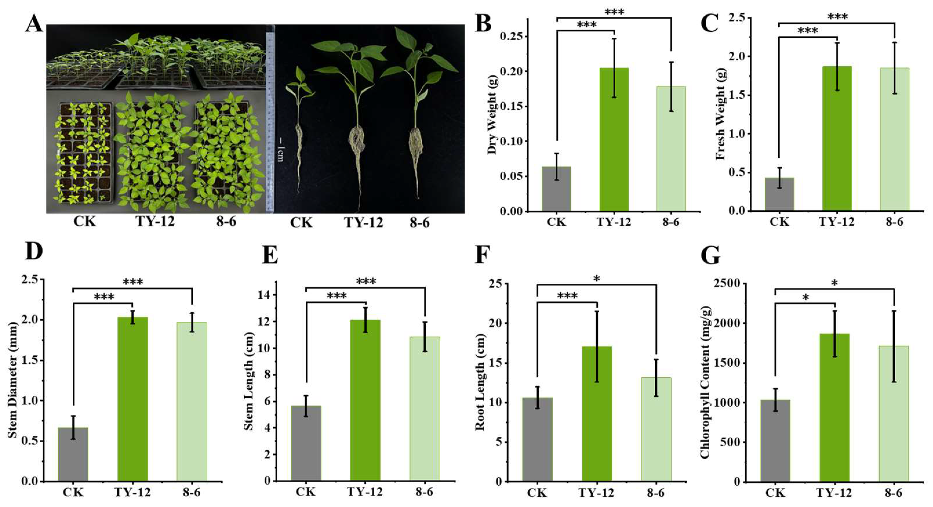 Applmicrobiol 05 00002 g007