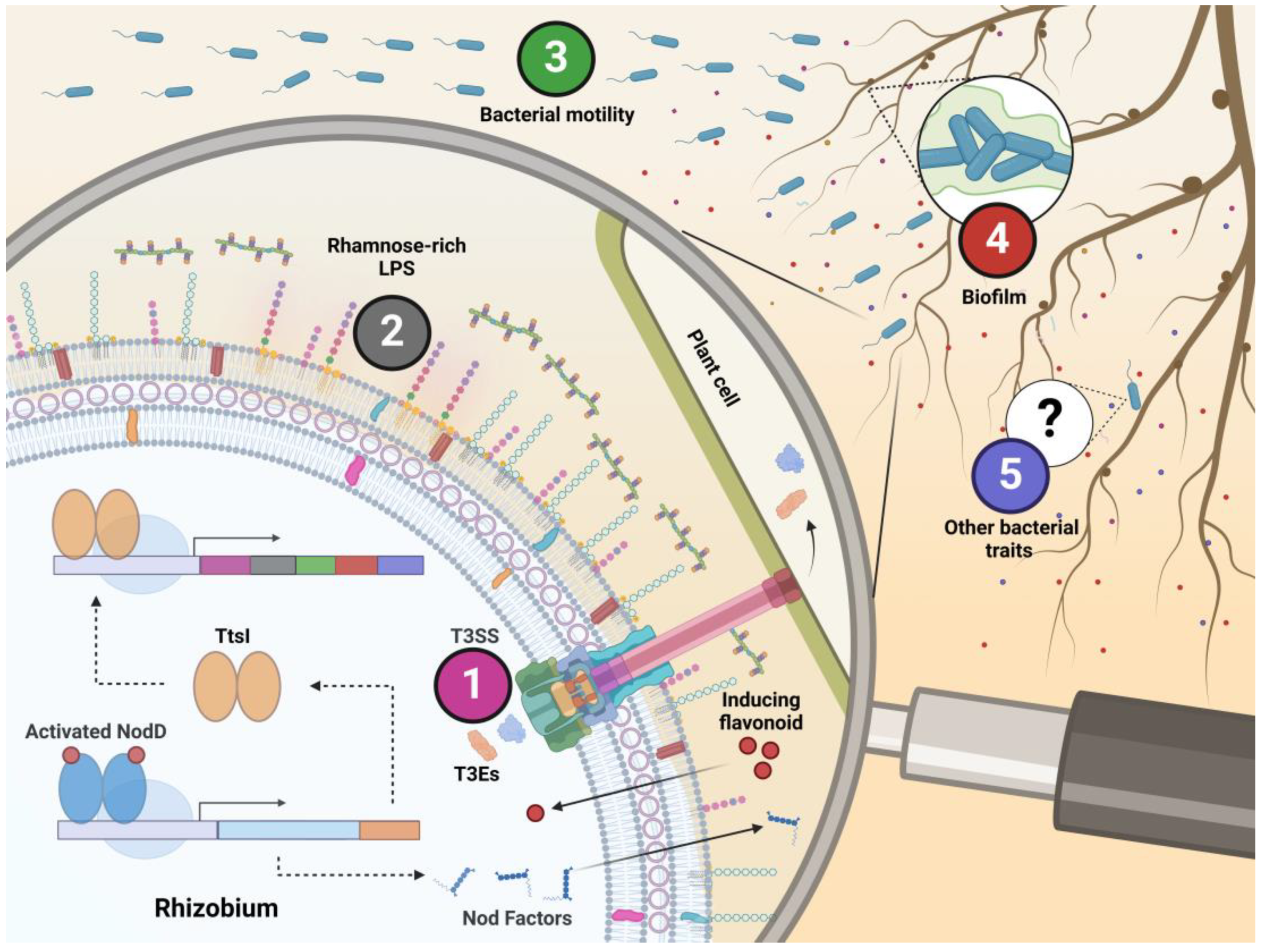 Applmicrobiol 05 00004 g001