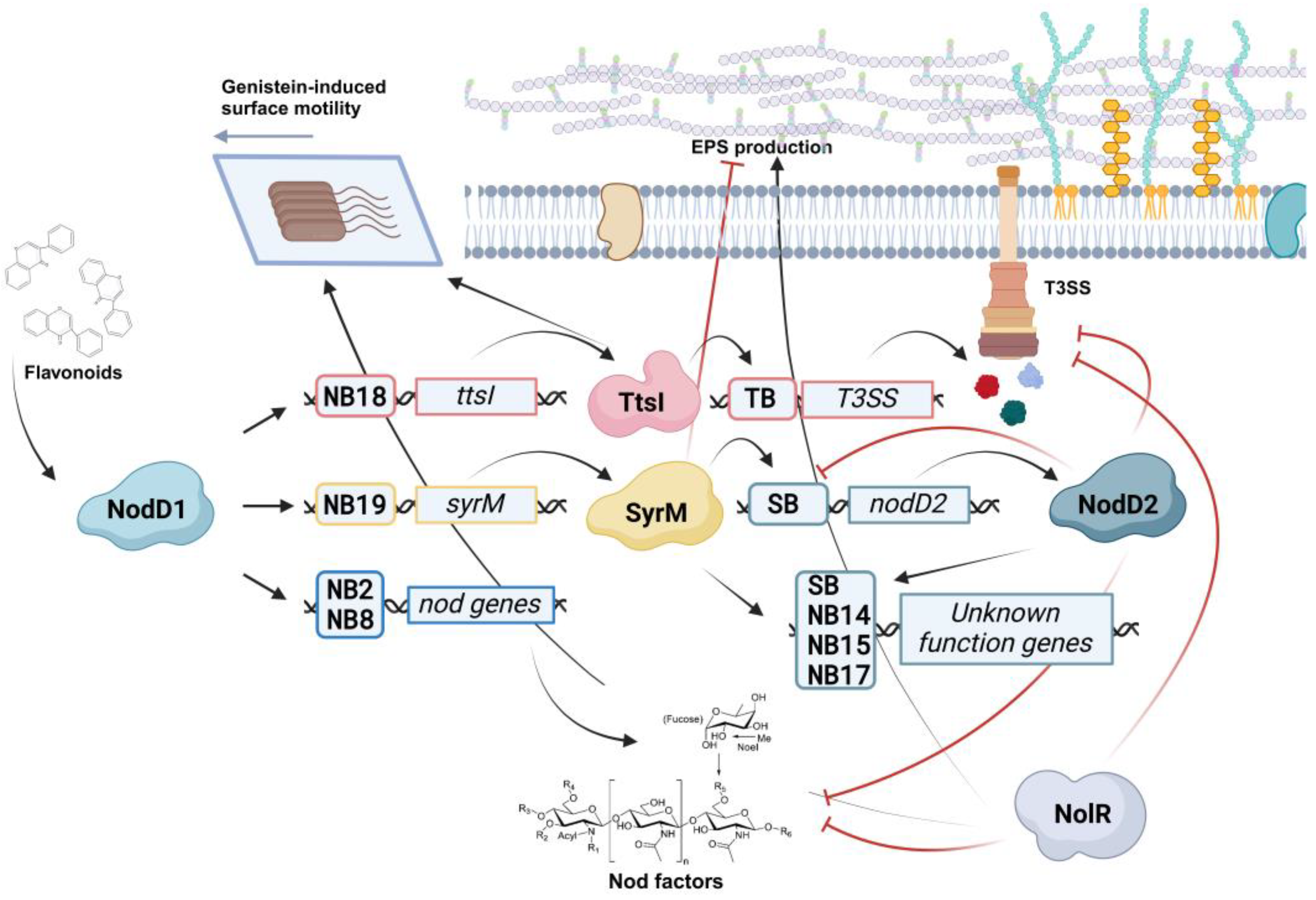 Applmicrobiol 05 00004 g002