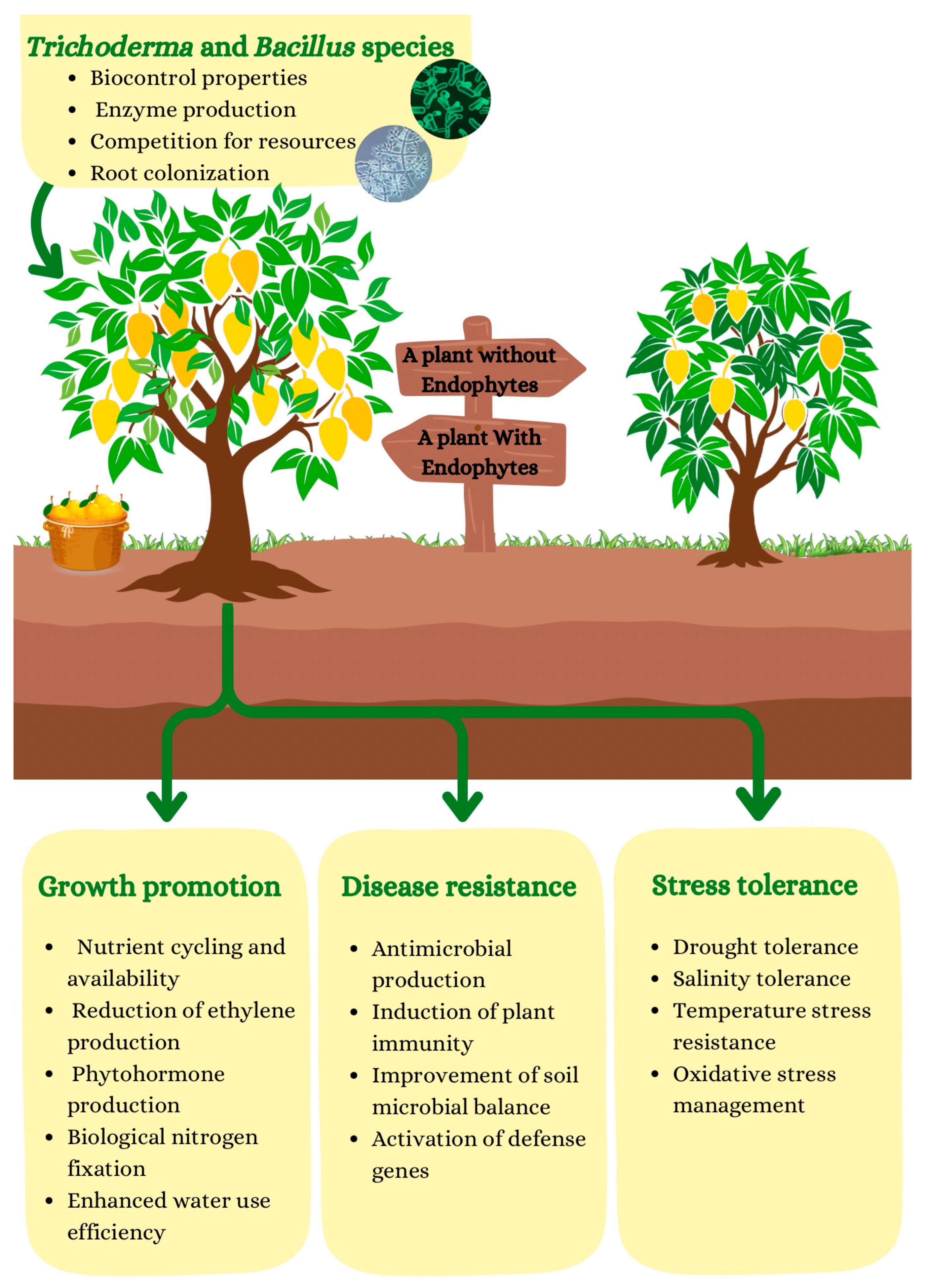 Applmicrobiol 05 00005 g001