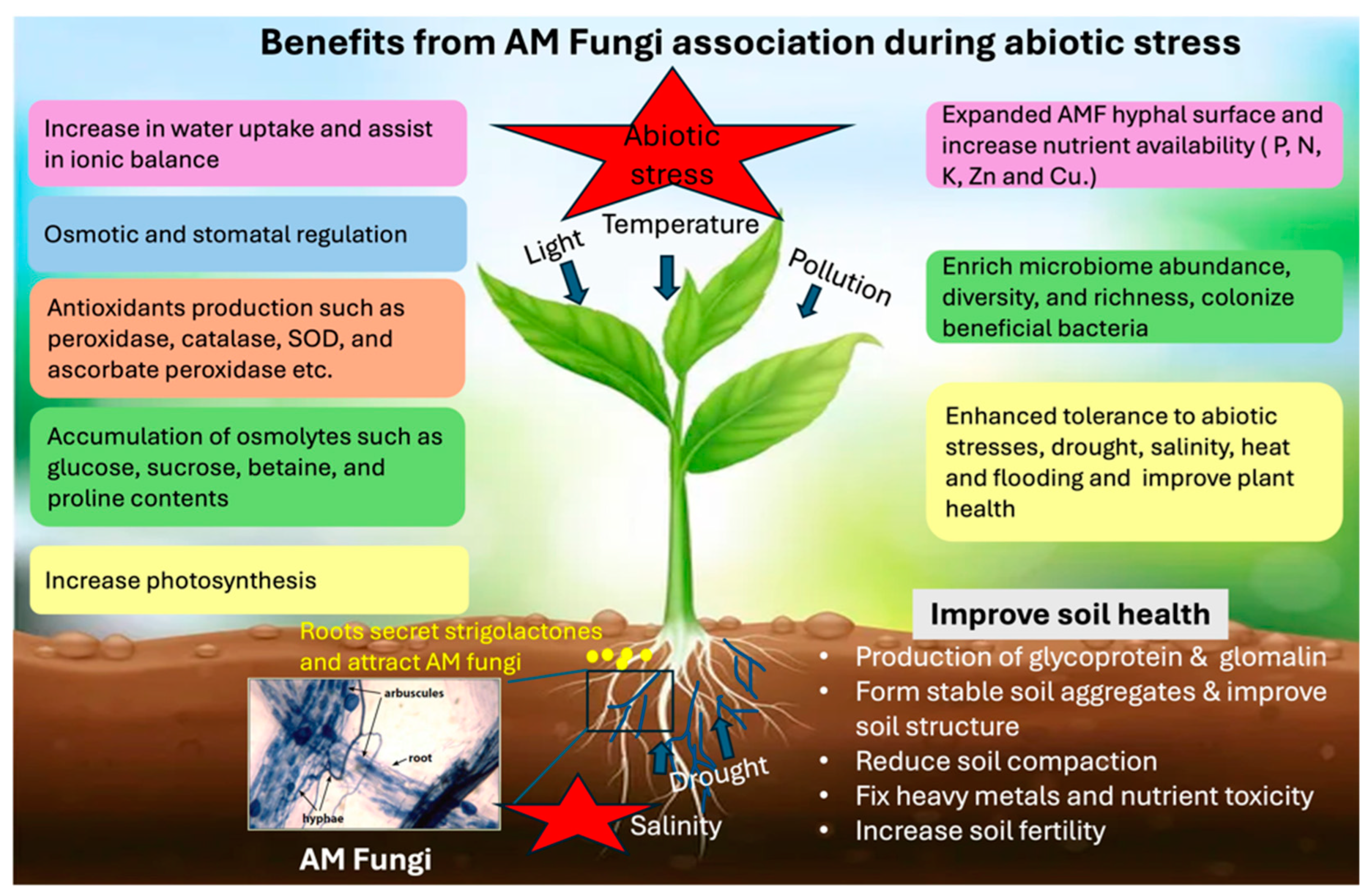 Applmicrobiol 05 00006 g003