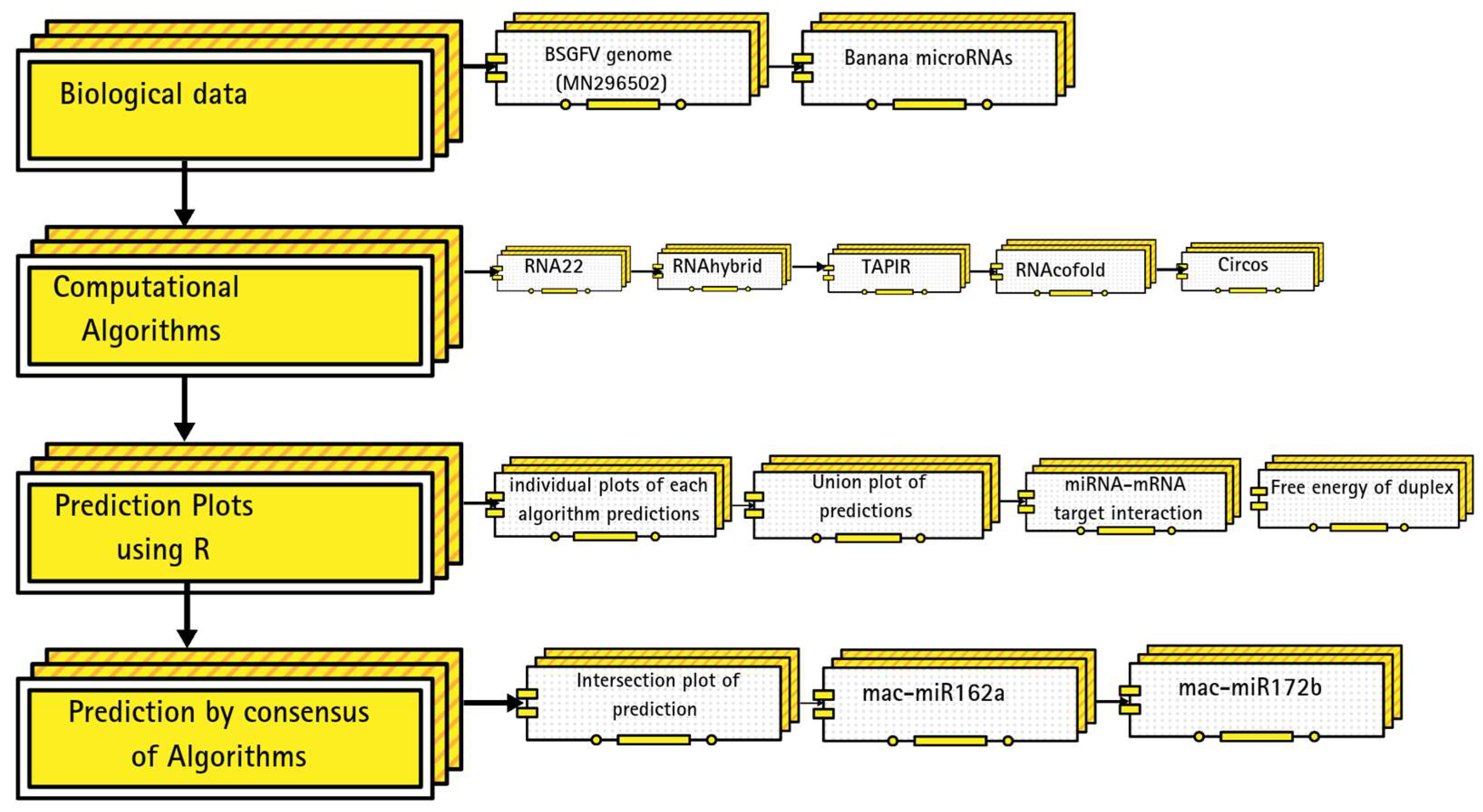Applmicrobiol 05 00013 g001