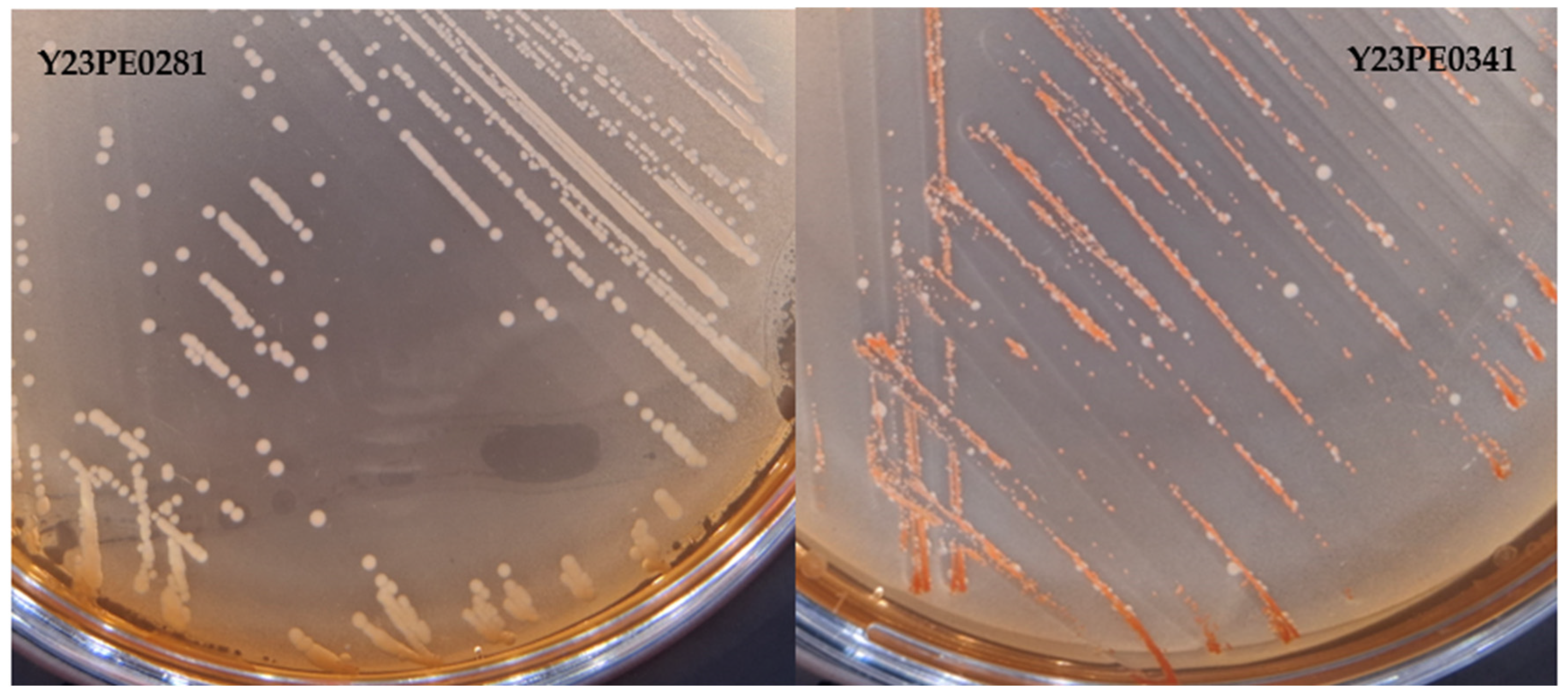 Applmicrobiol 05 00015 g002