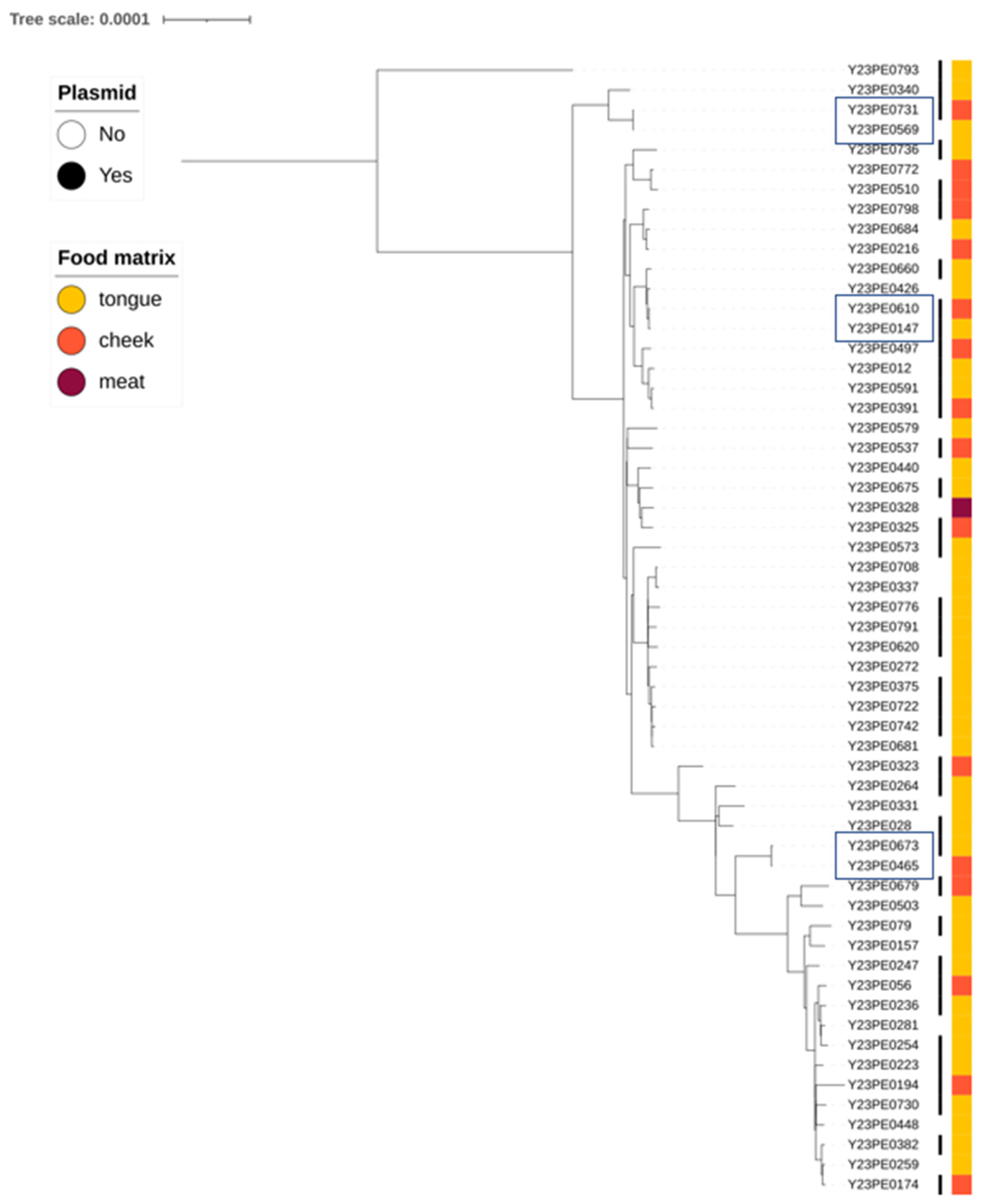 Applmicrobiol 05 00015 g004