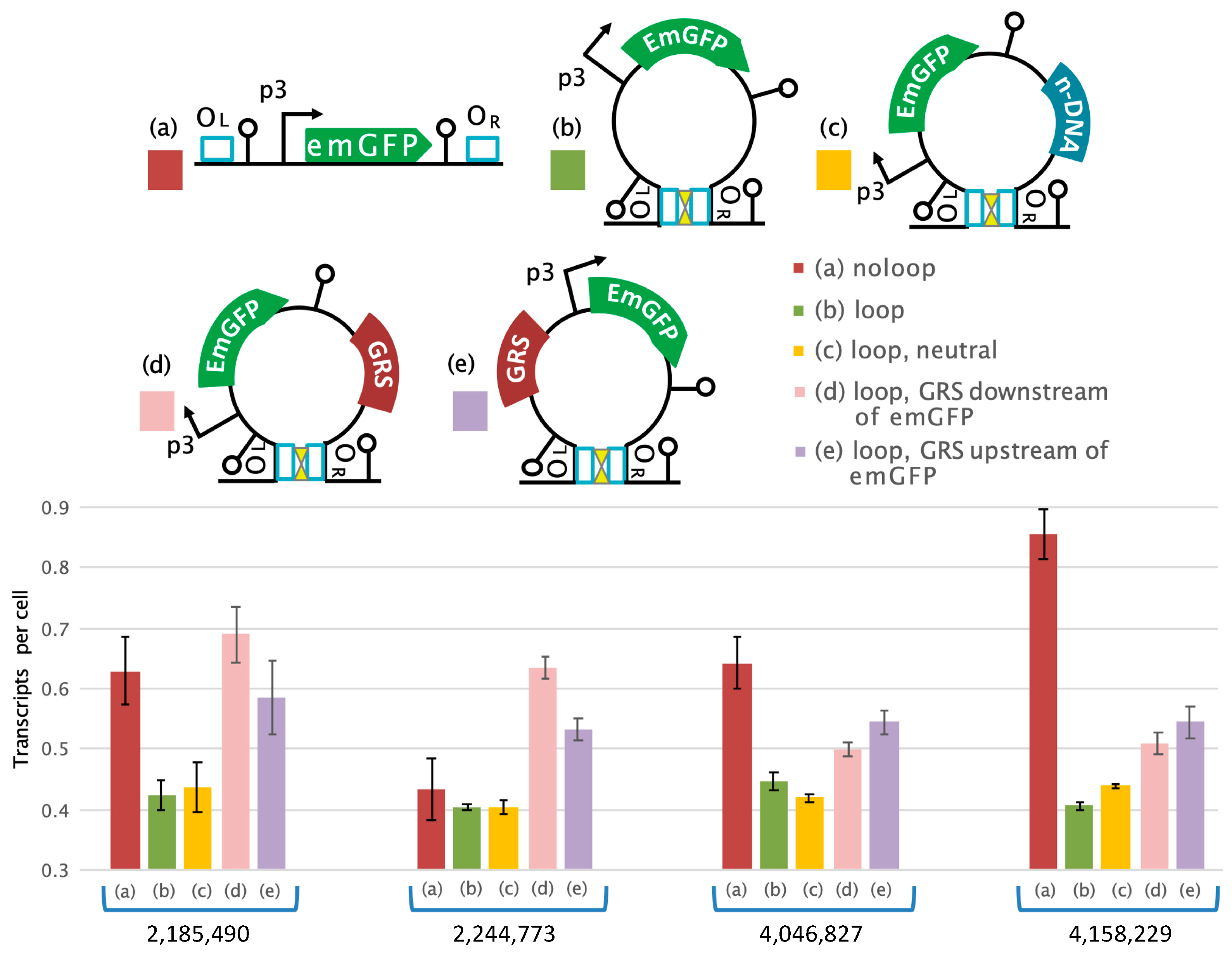Applmicrobiol 05 00017 g003
