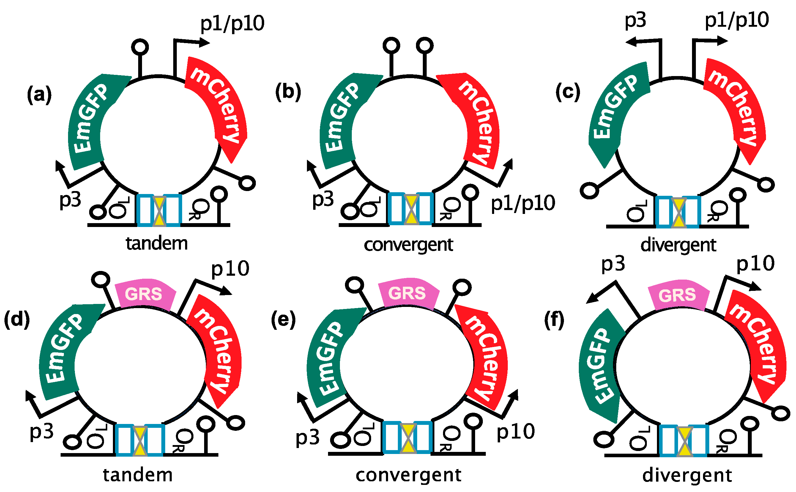 Applmicrobiol 05 00017 g004a