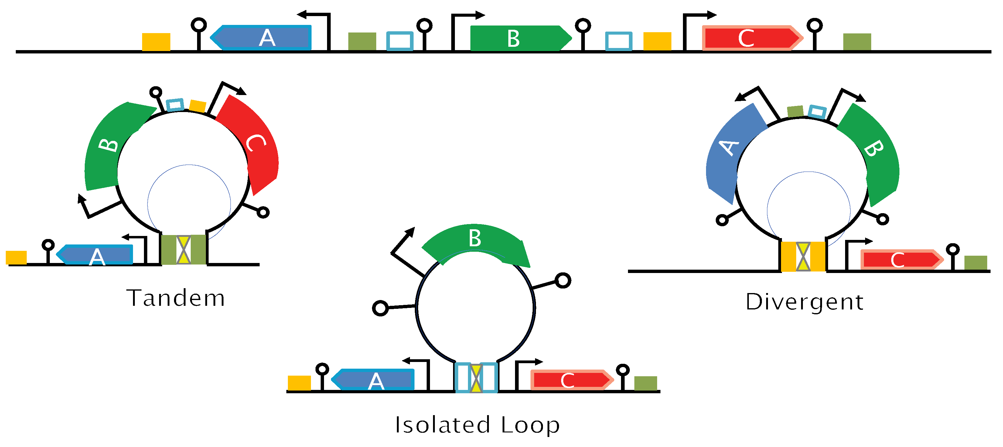 Applmicrobiol 05 00017 g005
