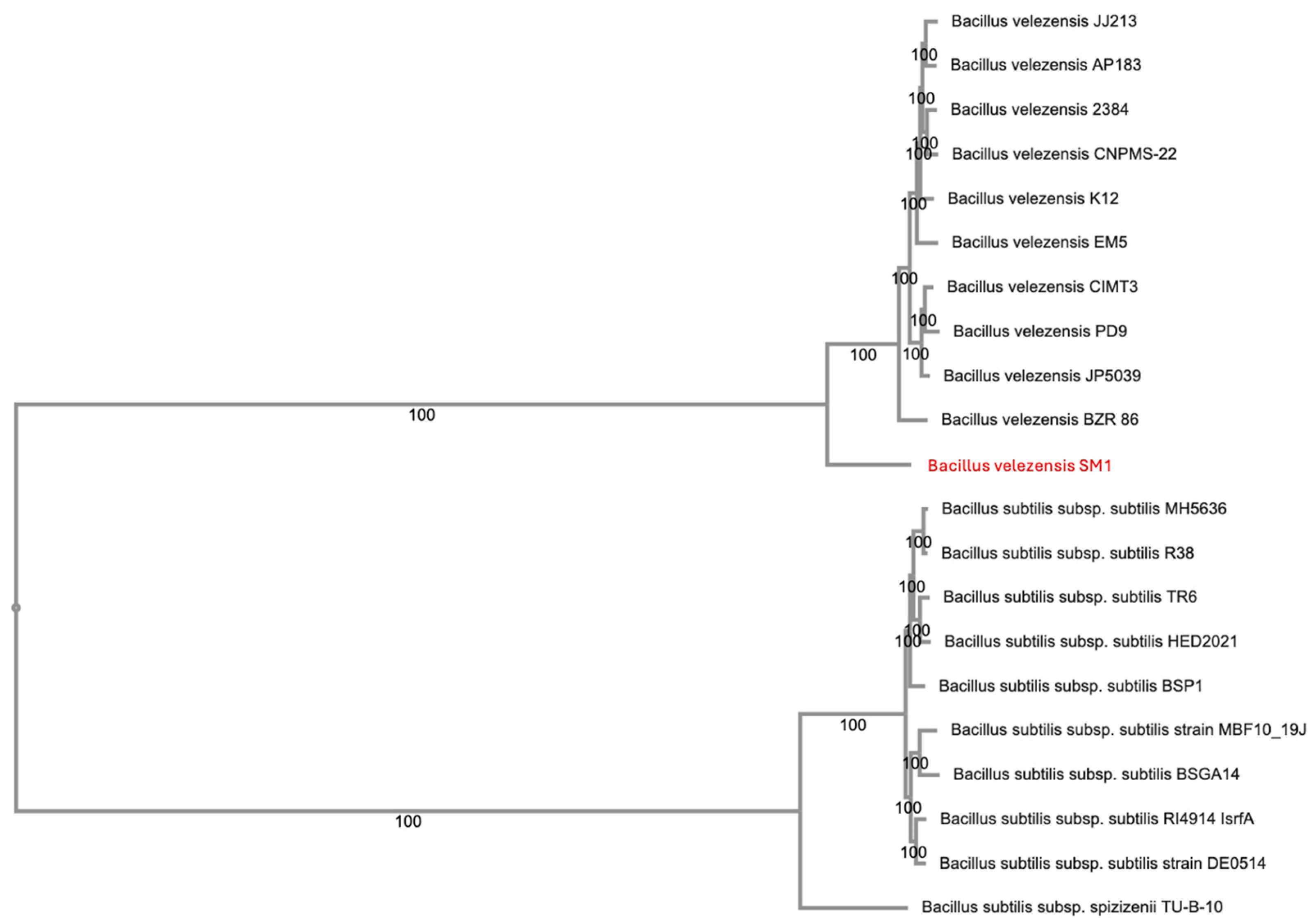 Applmicrobiol 05 00021 g001