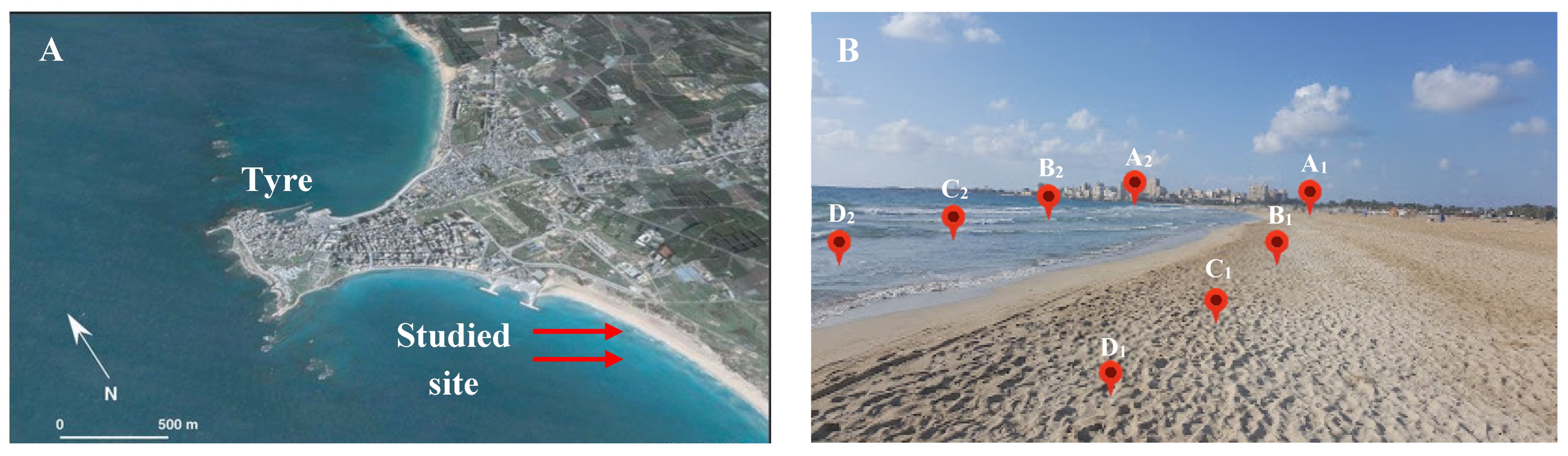 Applmicrobiol 05 00027 g001 Applmicrobiol 05 00027 g001
