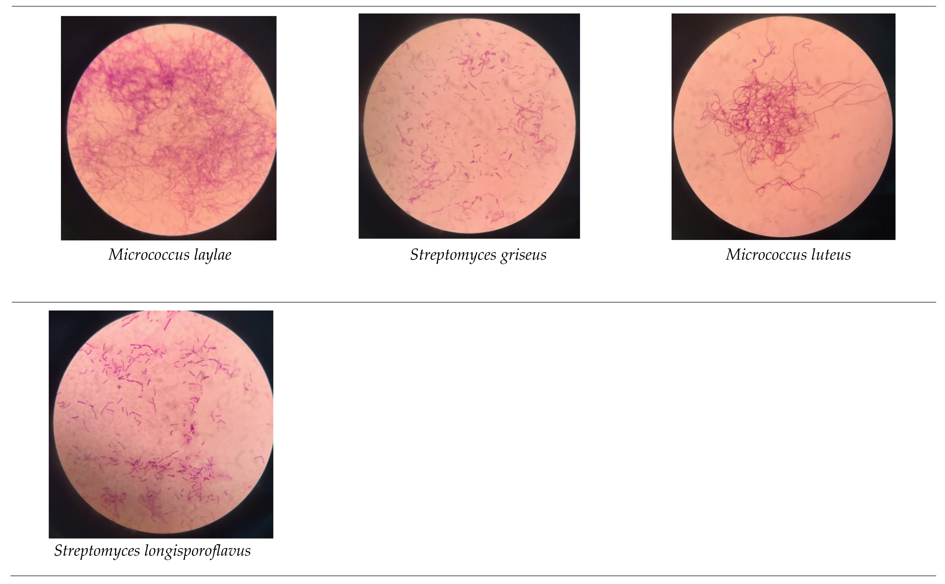Applmicrobiol 05 00027 g0a1b Applmicrobiol 05 00027 g0a1b