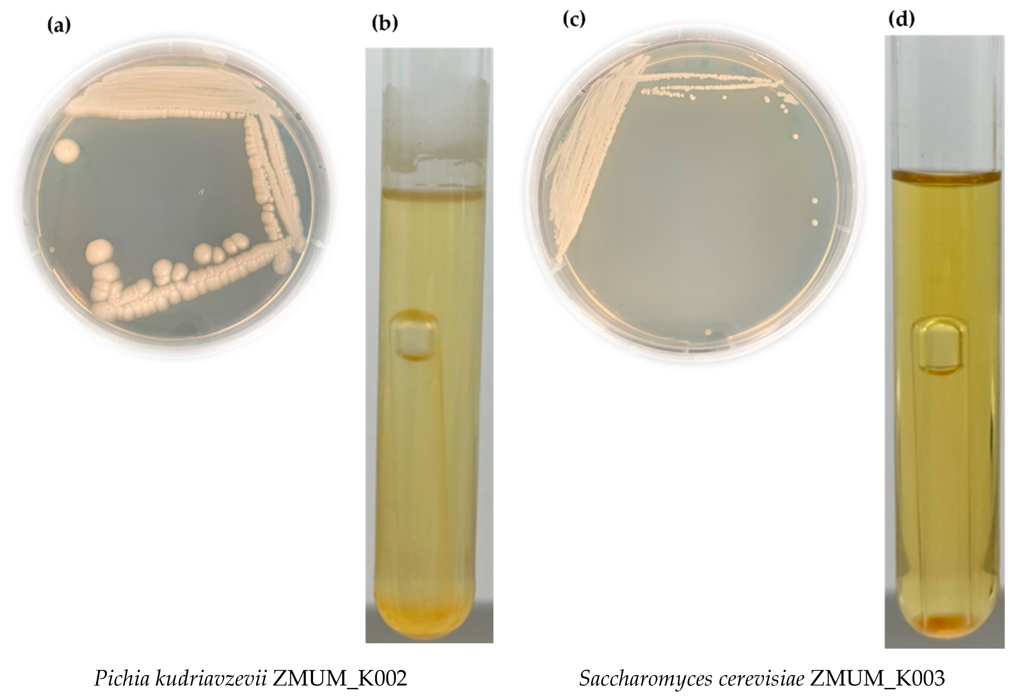 Applmicrobiol 05 00030 g001 Applmicrobiol 05 00030 g001