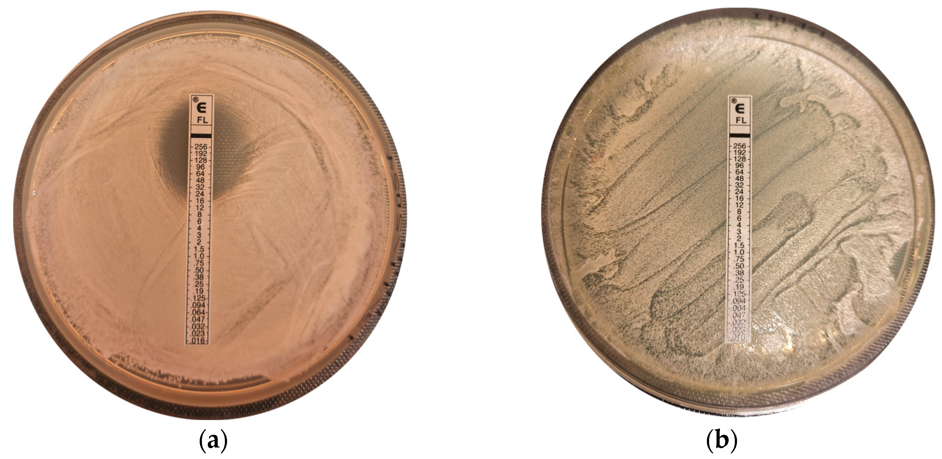 Applmicrobiol 05 00030 g002 Applmicrobiol 05 00030 g002