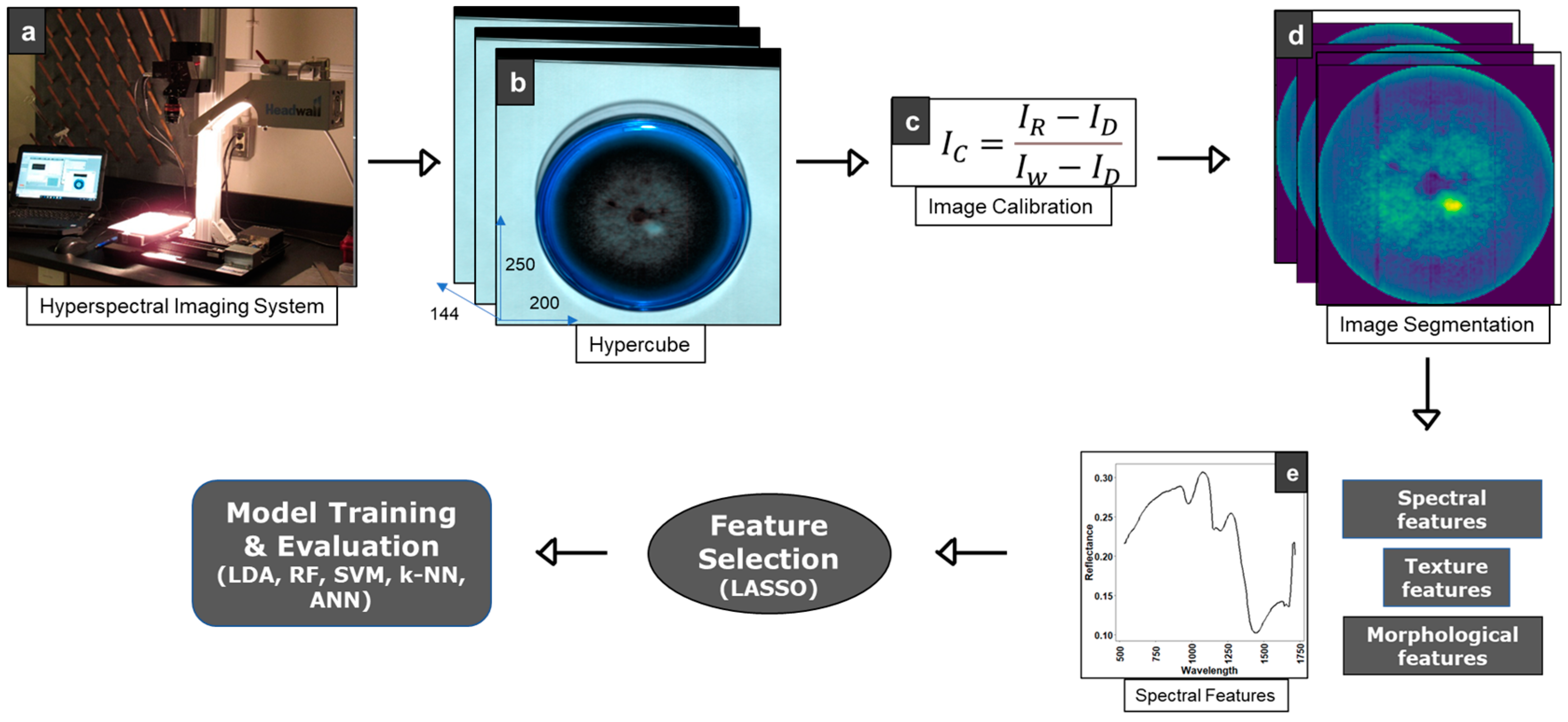 Applmicrobiol 05 00041 g001