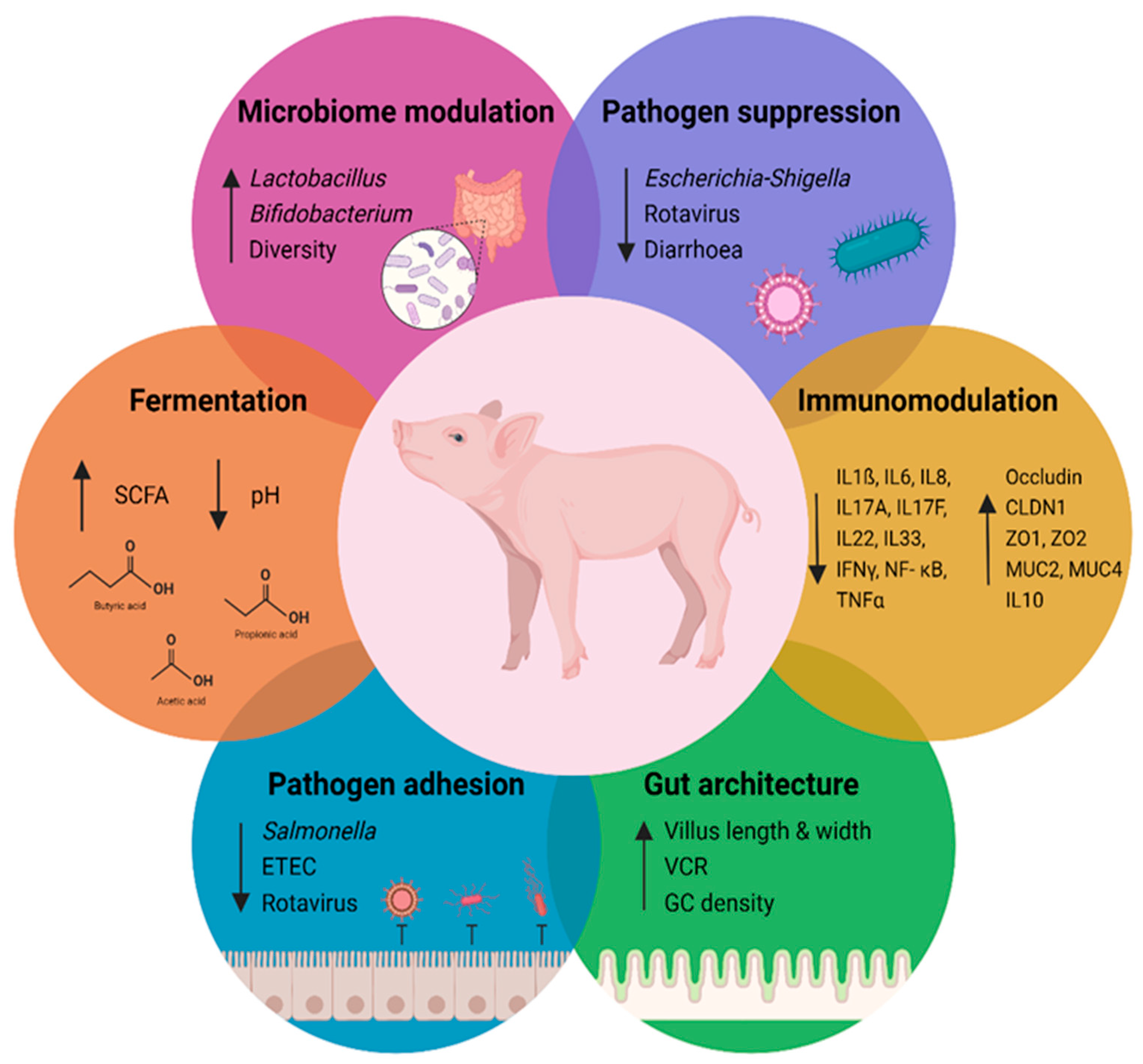 Applmicrobiol 05 00042 g002
