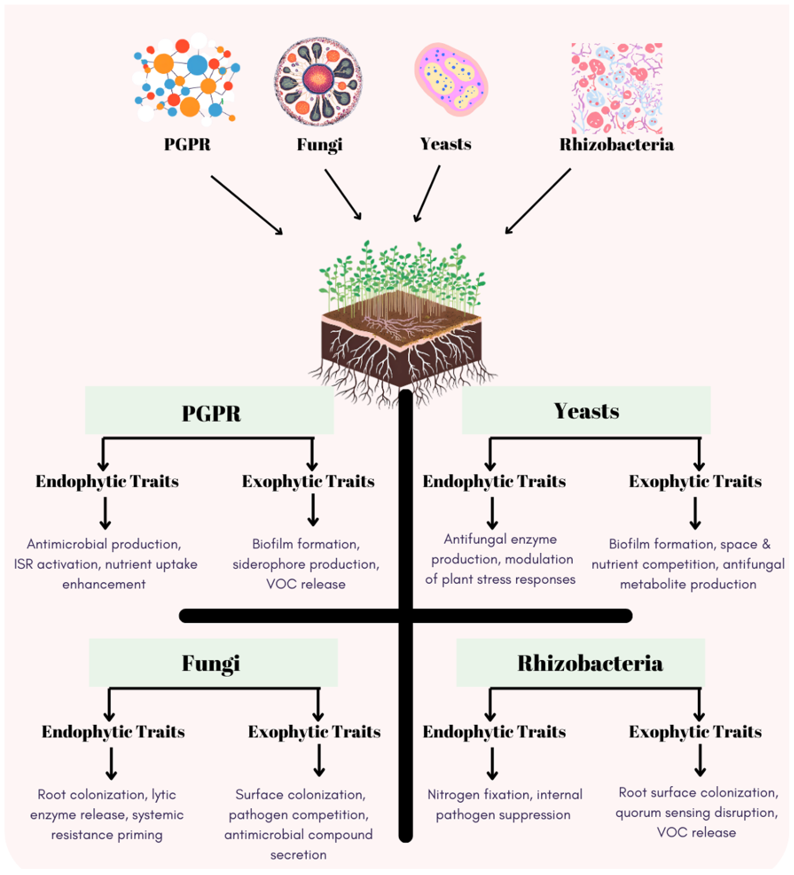 Applmicrobiol 05 00044 g001